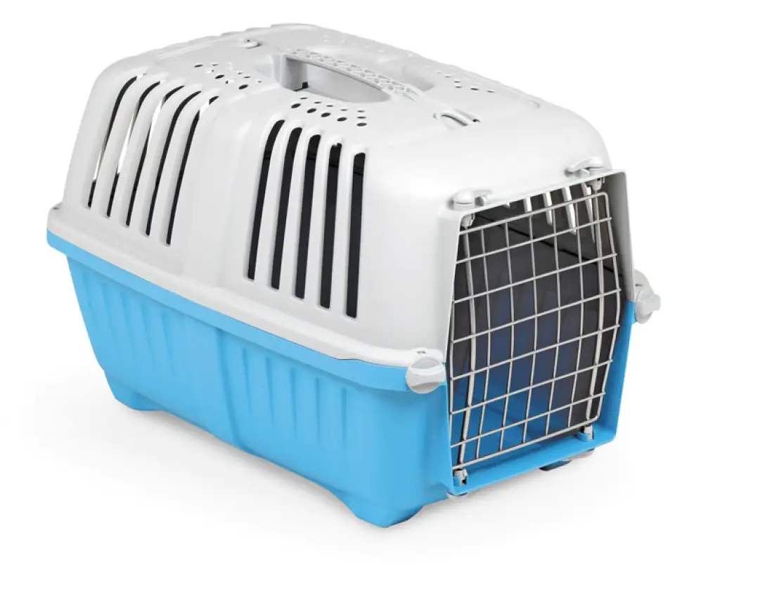 Ollesch Hundebox Auto Praktiko 2 55 x 36 cm 5-fach sortiert