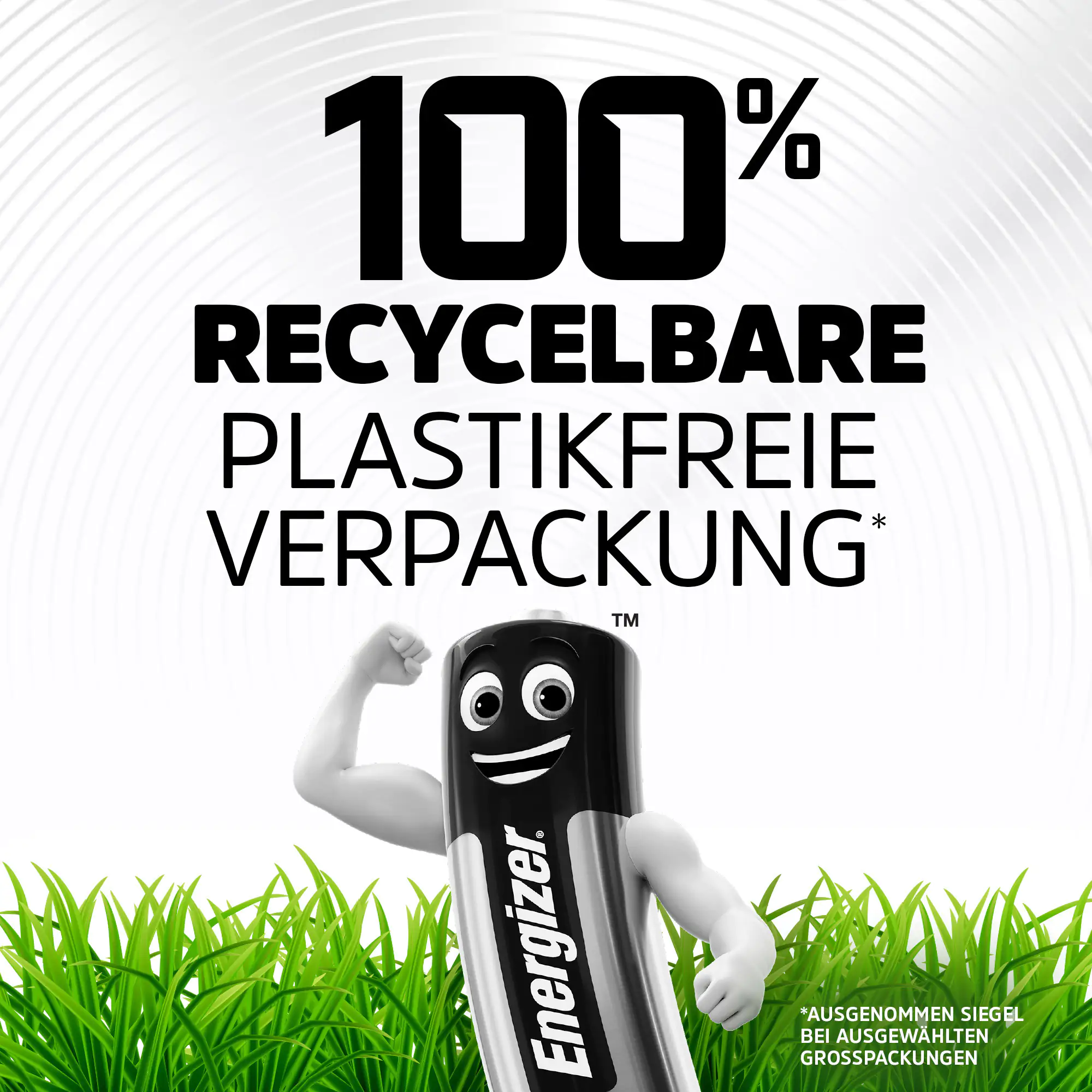 Energizer Alkaline Power Micro AAA LR03 1,5V, 24er Pack