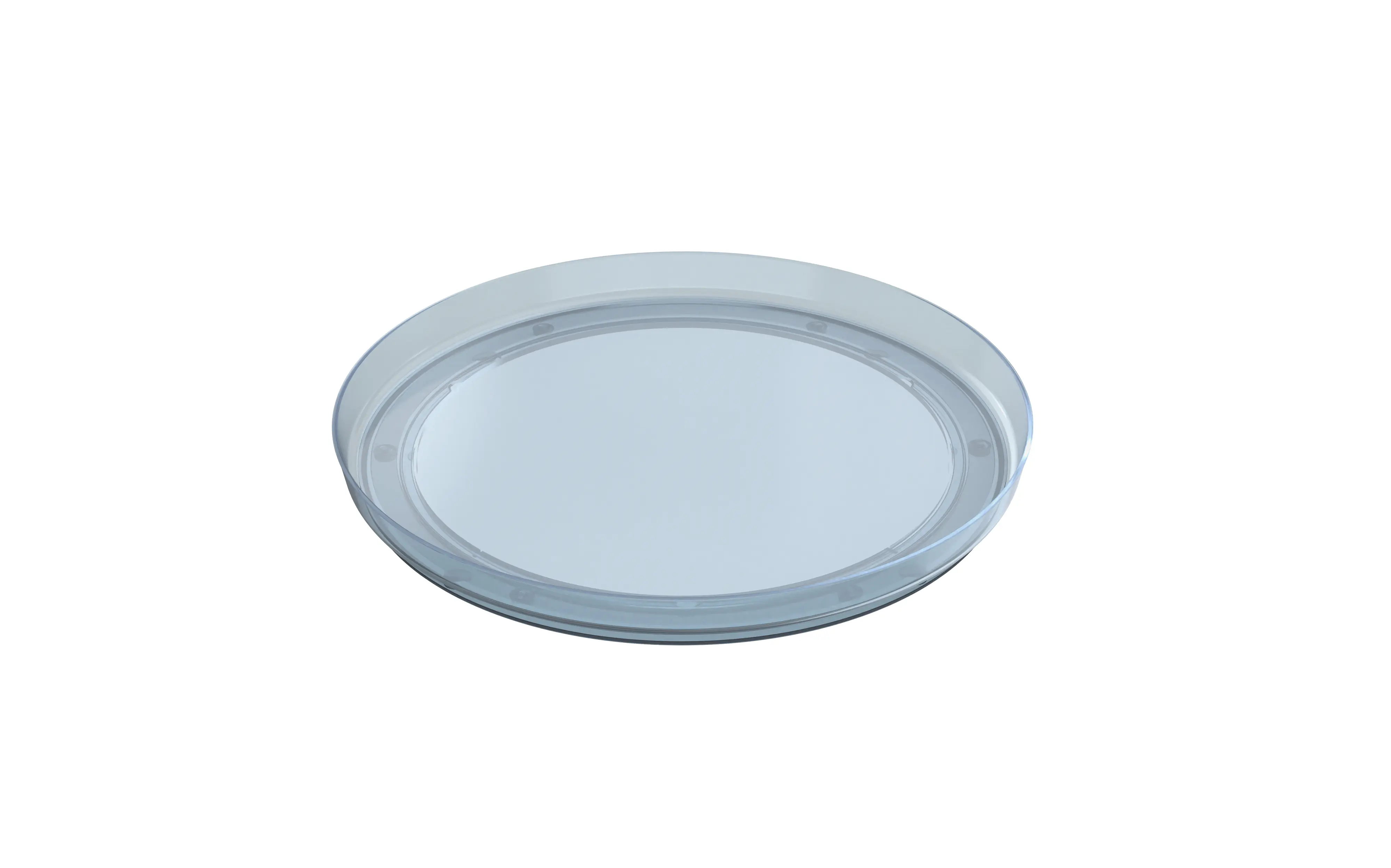 Rotho Drehteller Liskamm Ø 29 x 3,2 cm transluzent