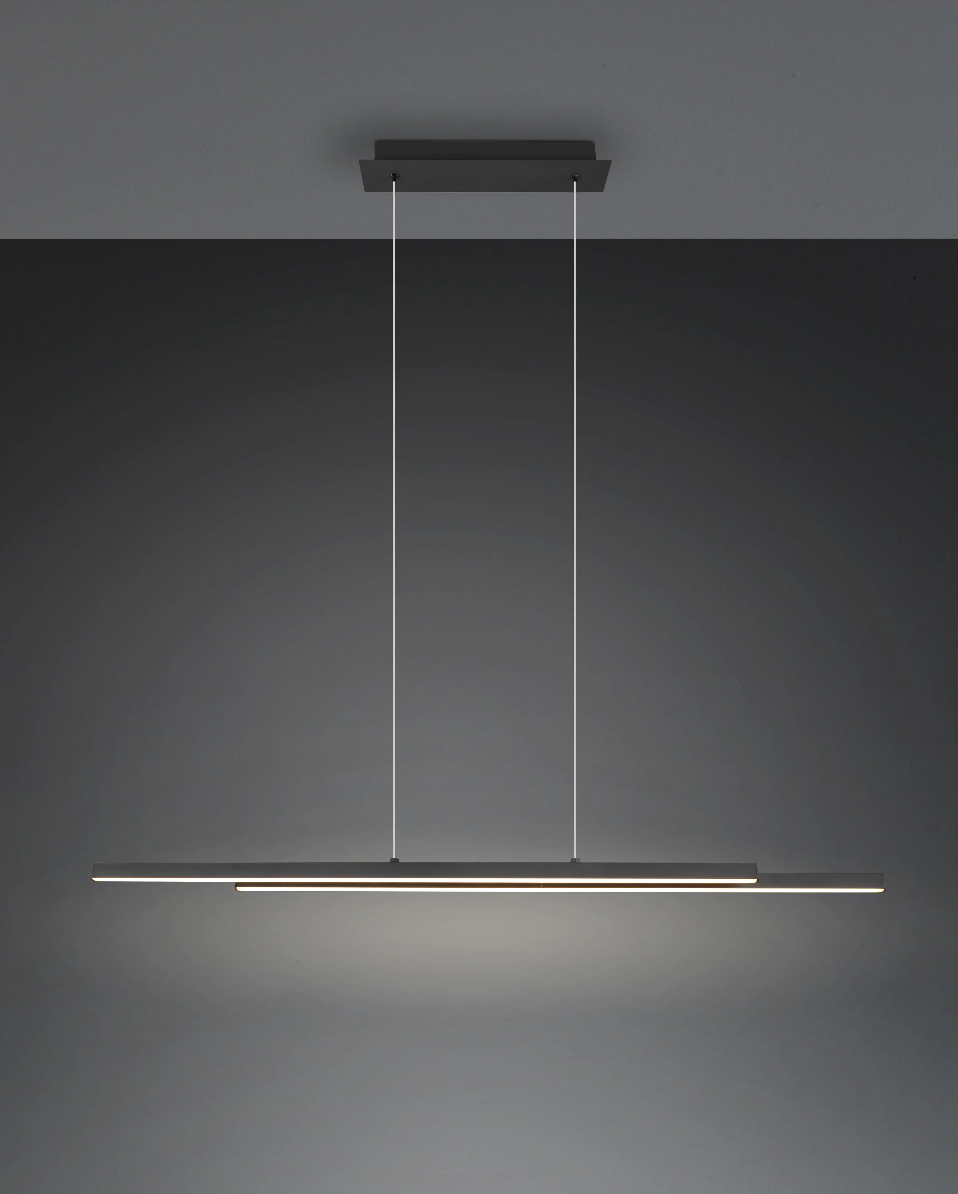 Trio Leuchten LED Pendelleuchte Odio 28W schwarz
