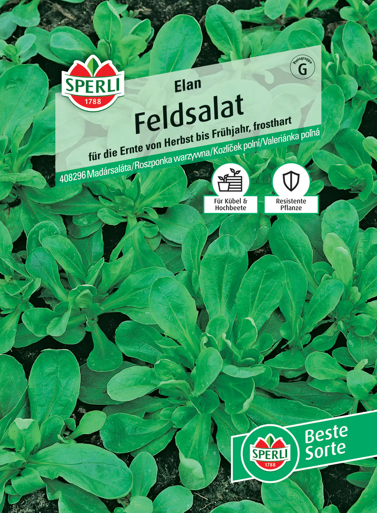 Sperli Feldsalat Elan