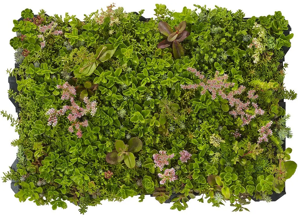 Plantile Dachbegrünungs-Komplettset mit Folie und Vlies für 9 m² Dachfläche