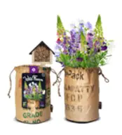 Baza Seeds Bienenhotel mit Bio Wildblumen gelb