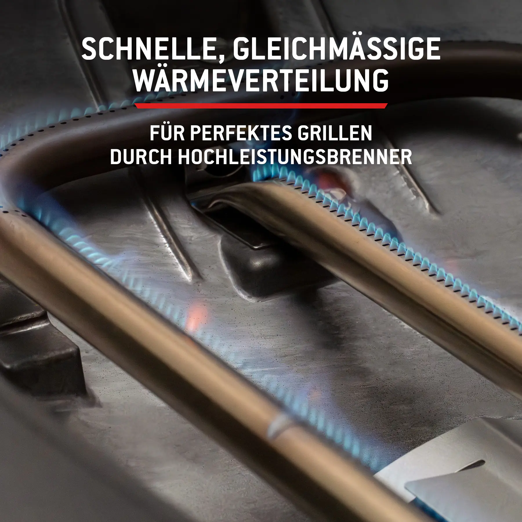 Weber Gasgrill Q2800N mit Rollwagen Grillfläche: 41 x 56 cm