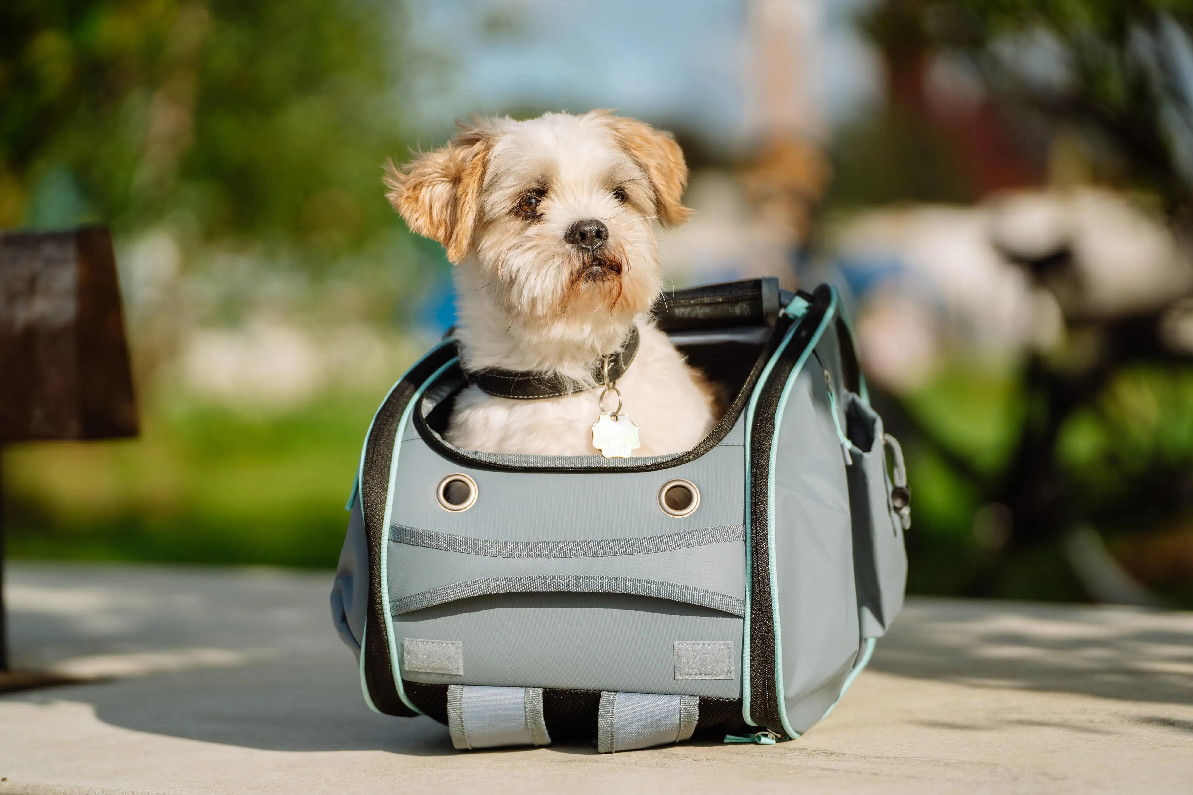 Nobby Multifunktions-Rucksack Nomad grau