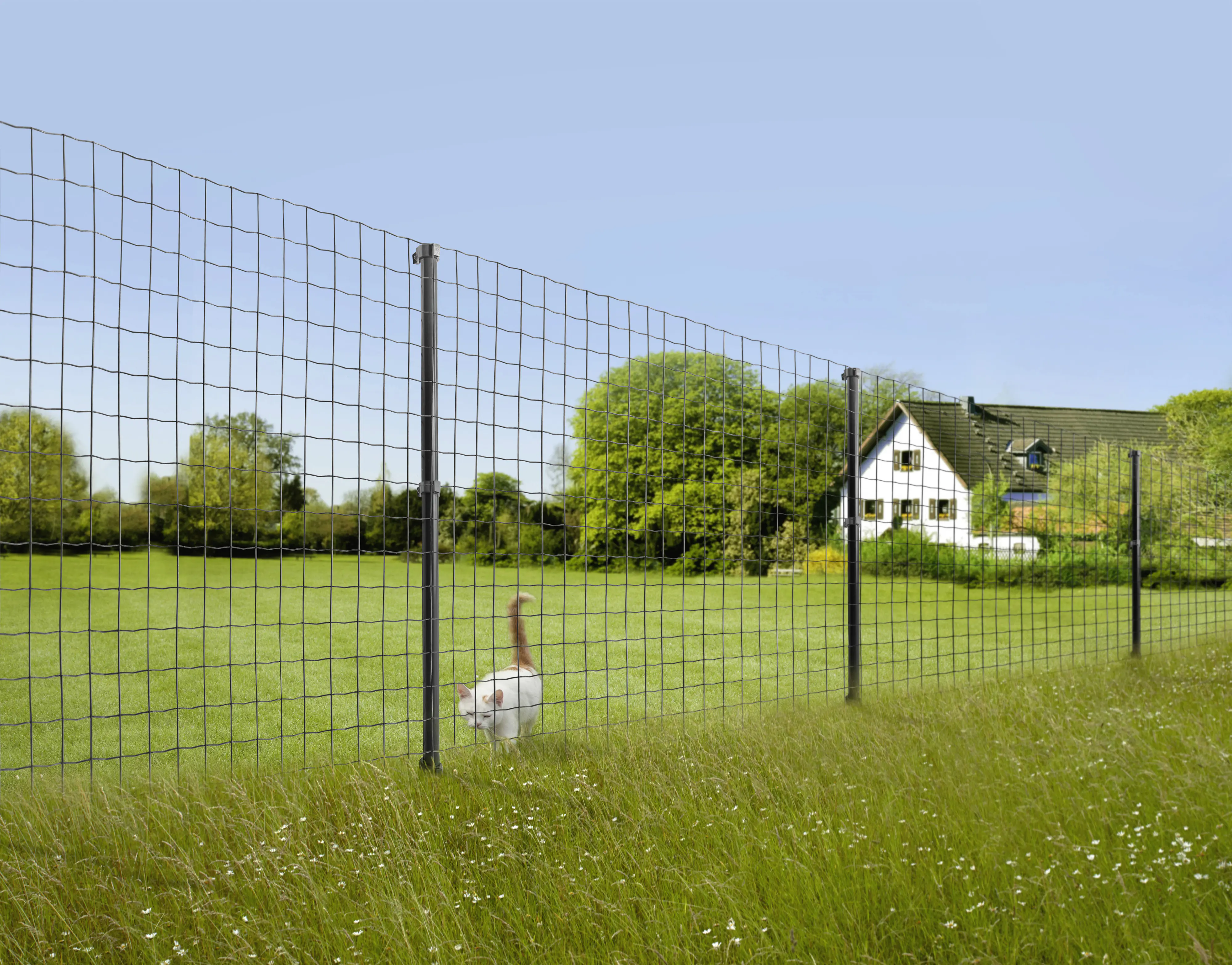 Floraworld Gitterzaun Comfort 25 x 1,52 m anthrazit
