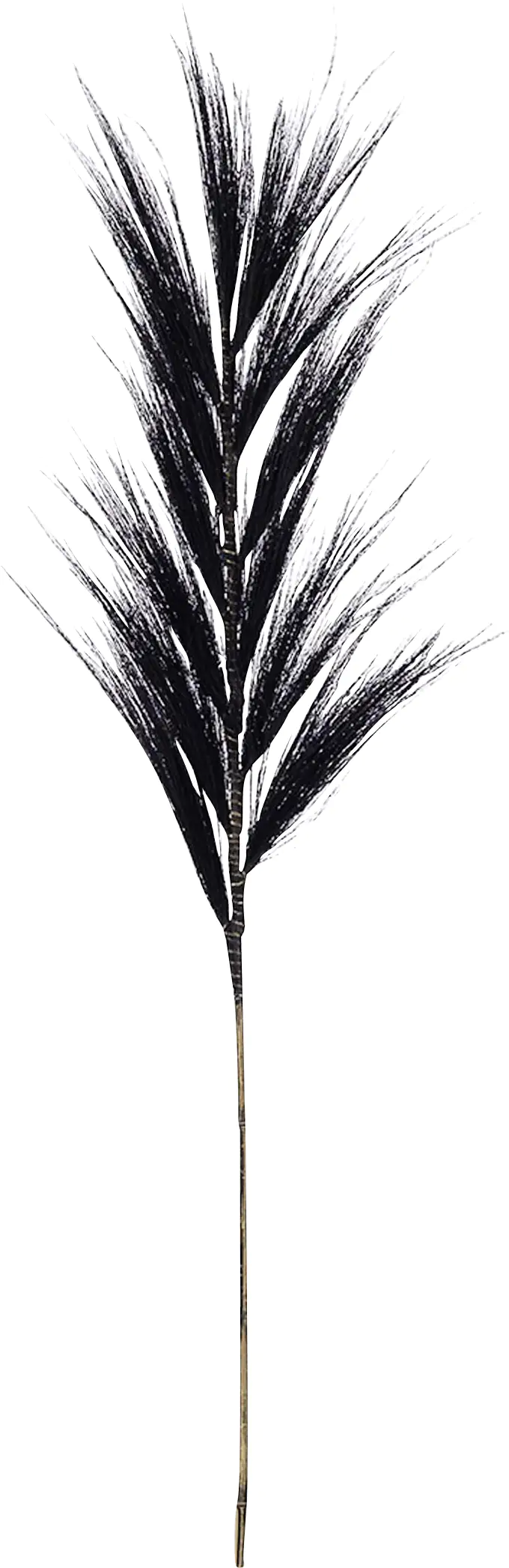 Dijk Grasfahne 118 cm