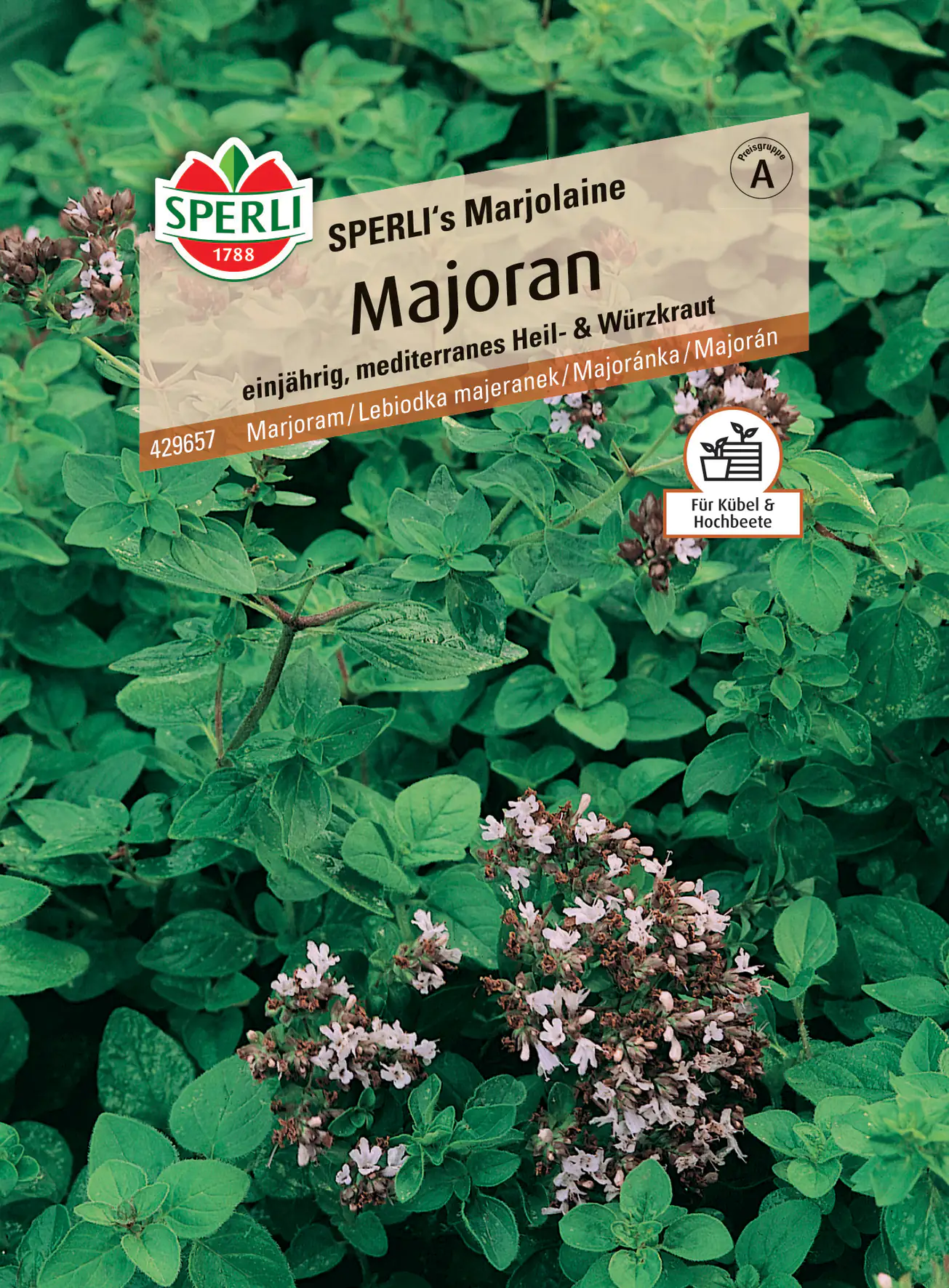 Sperli Majoran Sperli 's Marjolaine