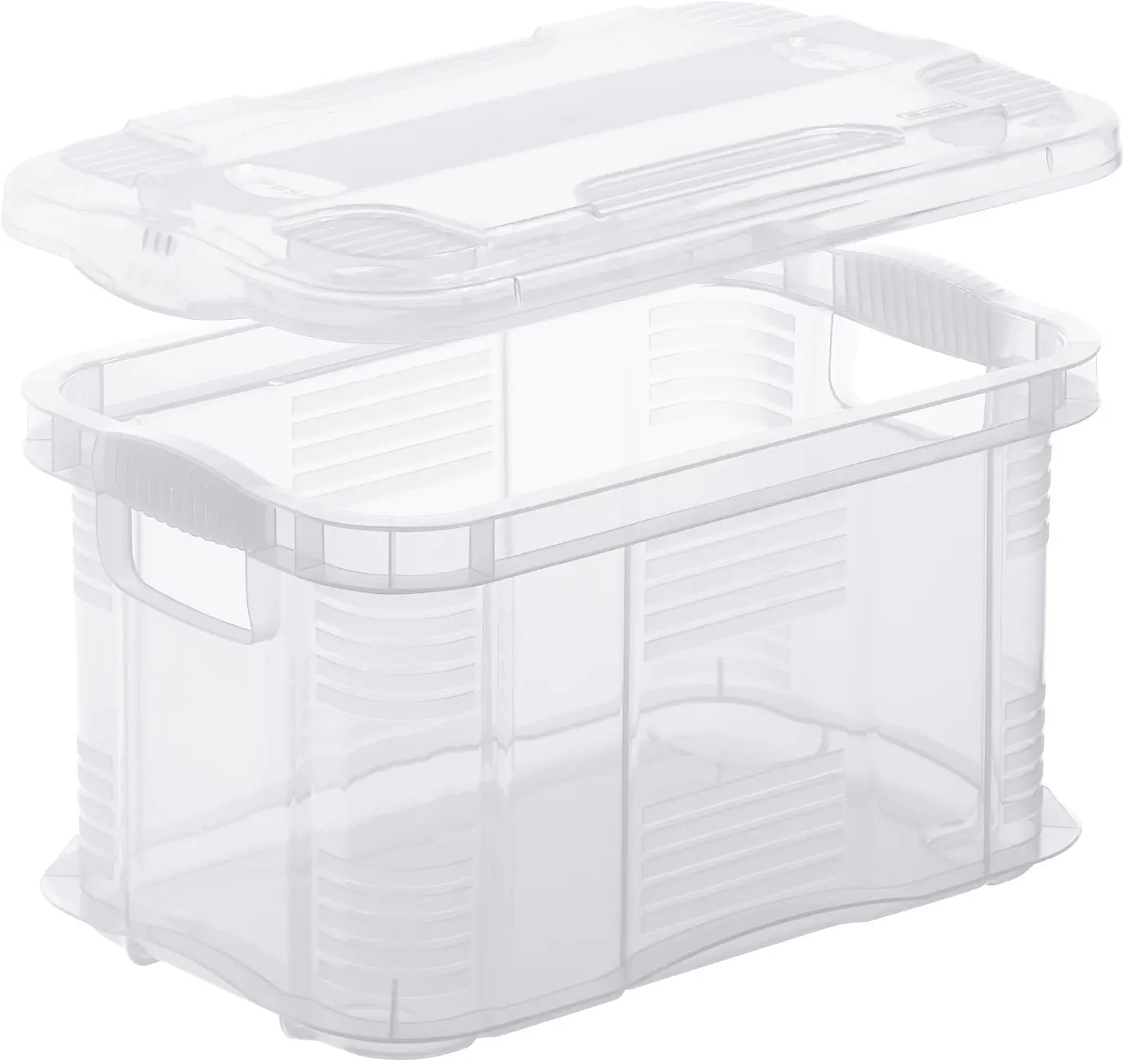 Rotho Aufbewahrungsbox Agilo 29 x 19 cm 6 L transparent
