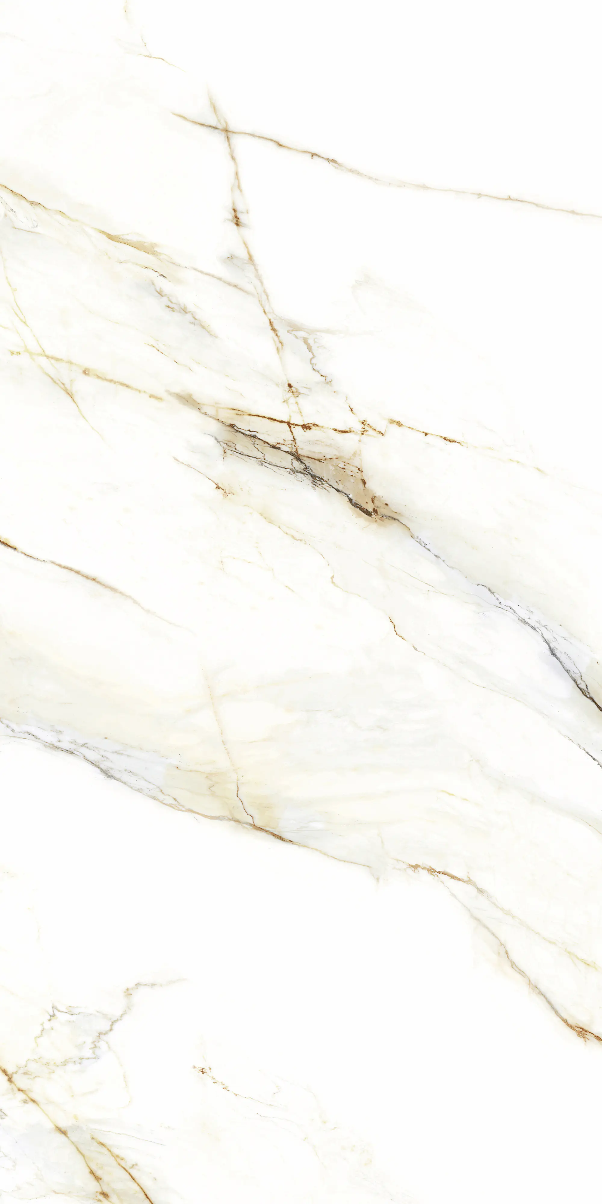 Bodenfliese Feinsteinzeug Venetion Gold 60 x 120 cm weiß
