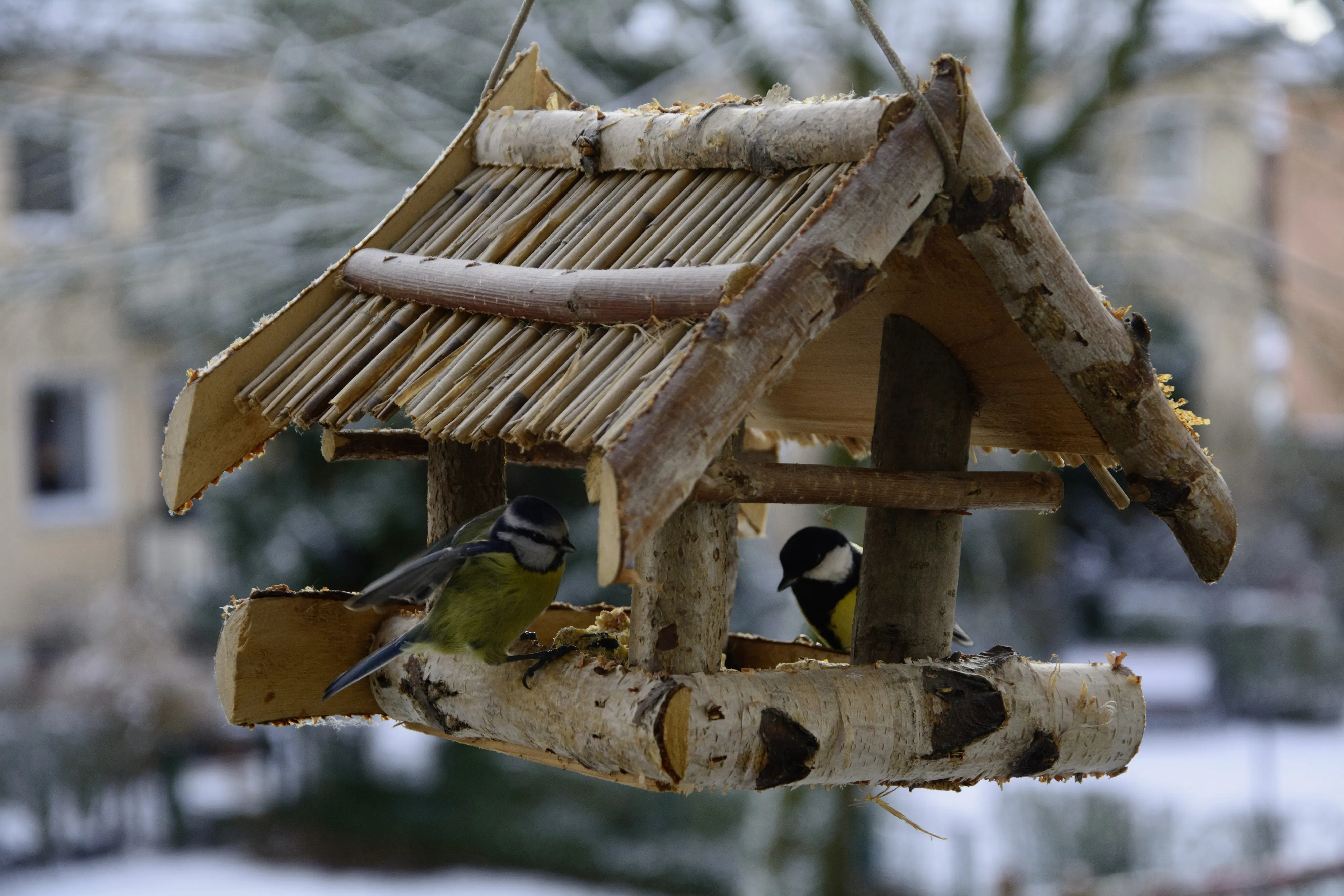 Dobar Vogelfutterhaus Birkenholz mit Bambusdach 30 x 40 x 25 cm 