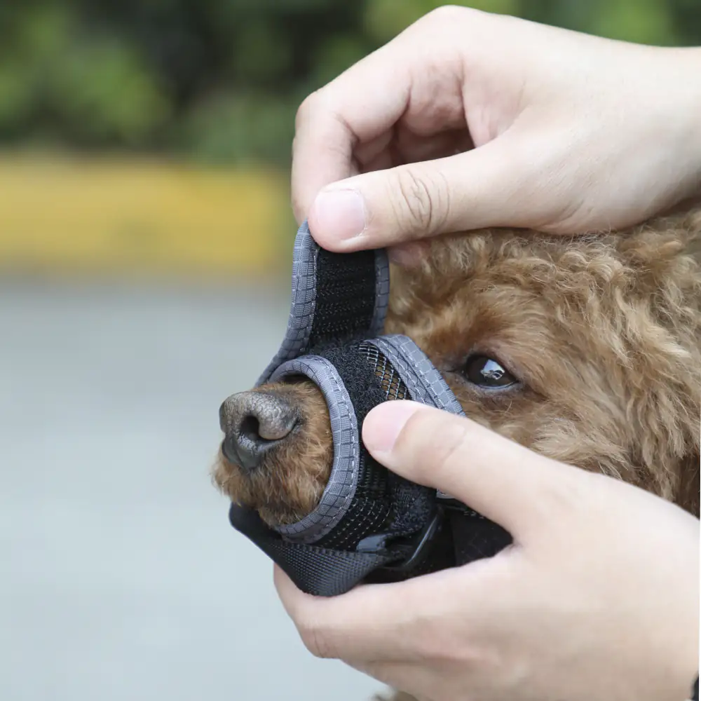 Nobby Hundemaulkorb verstellbar L grau