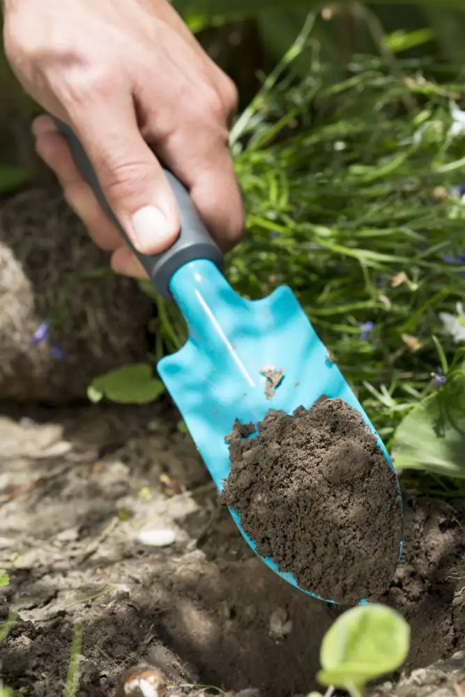 Gardena Pflanzkelle 6 cm Arbeitsbreite