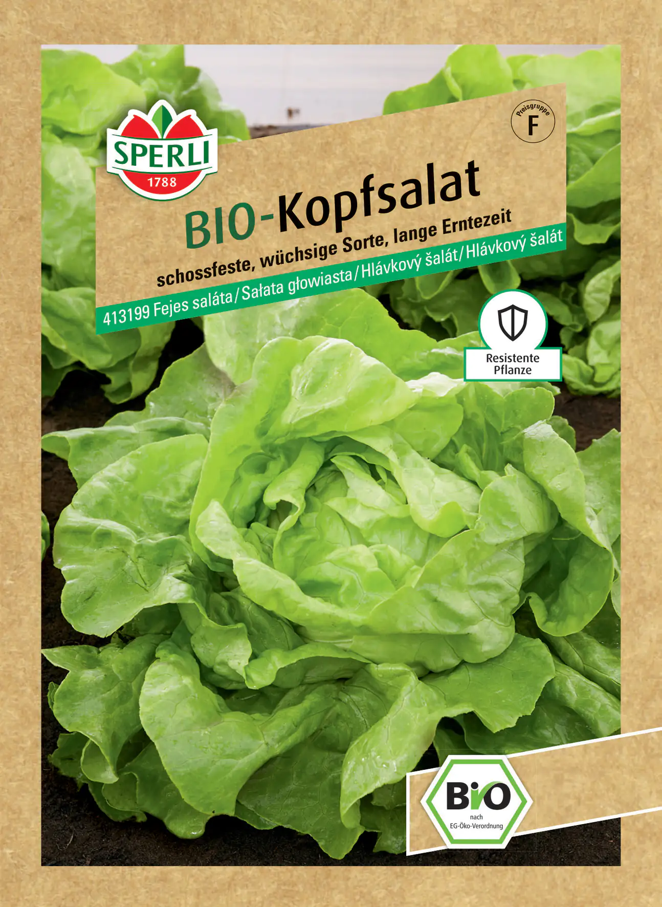 Sperli BIO Kopfsalat