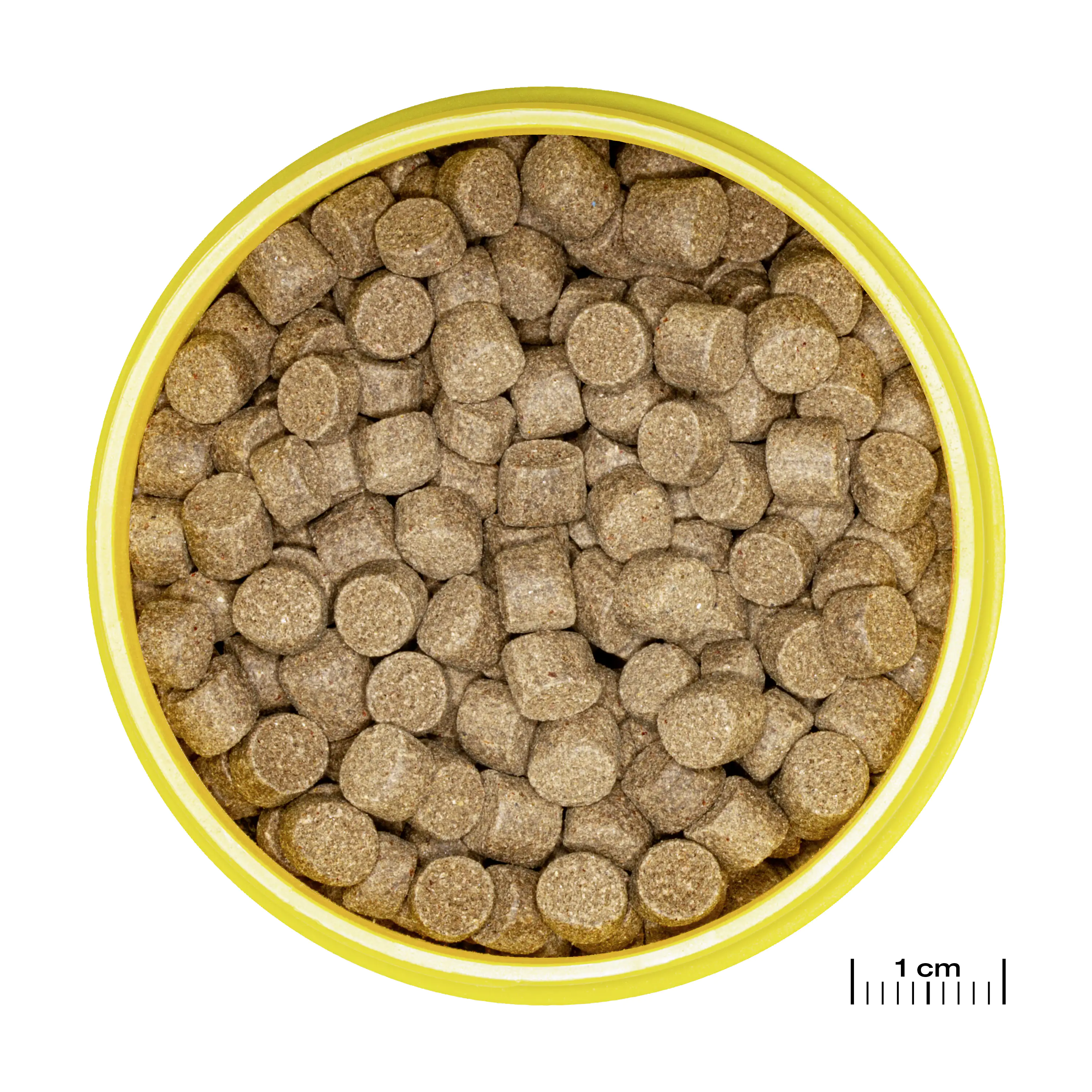 JBL Fischfutter Pronovo Lotl Grano XL Fischfuttergranulat 250 ml