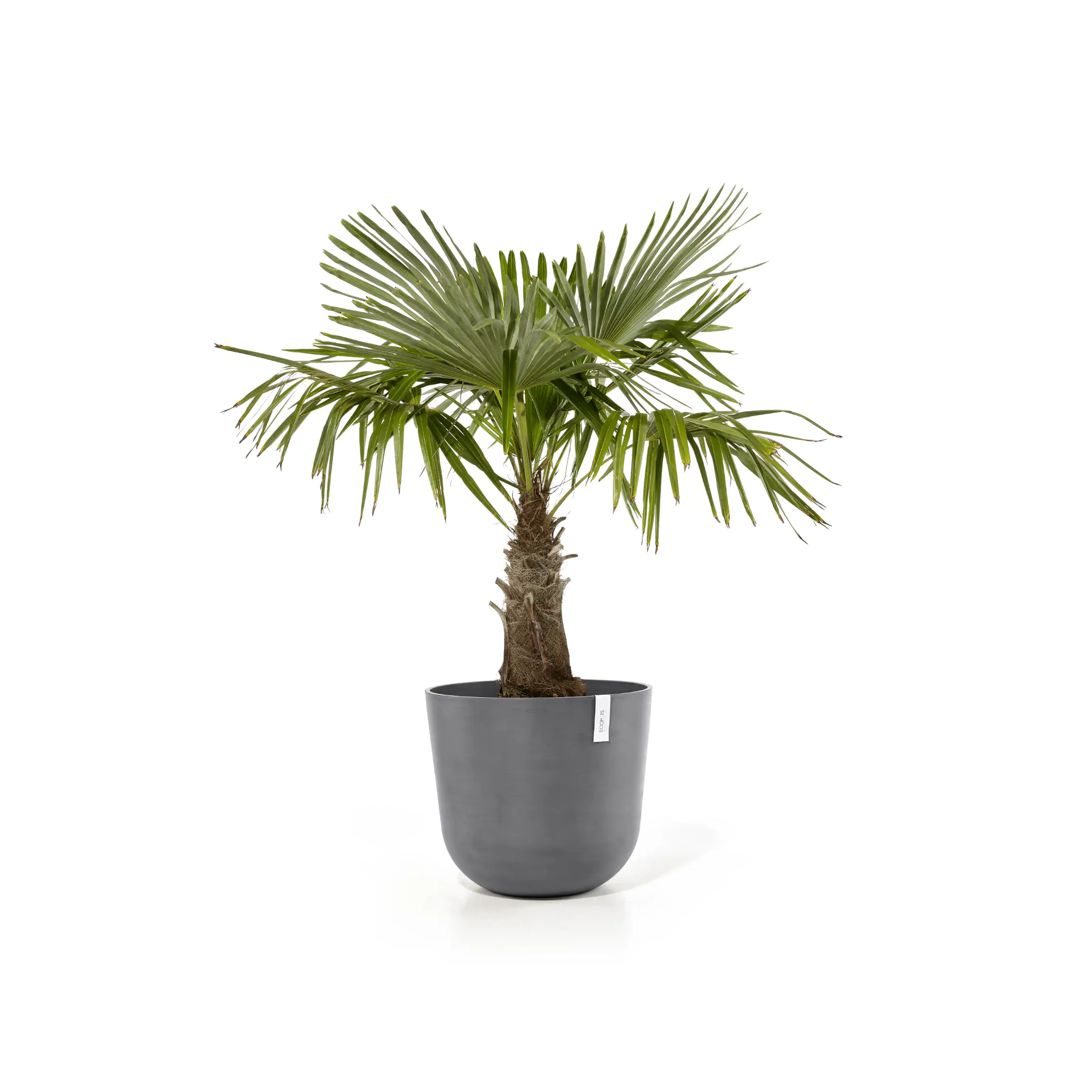 Ecopots Pflanztopf Oslo Ø 55 x 47,9 cm grau