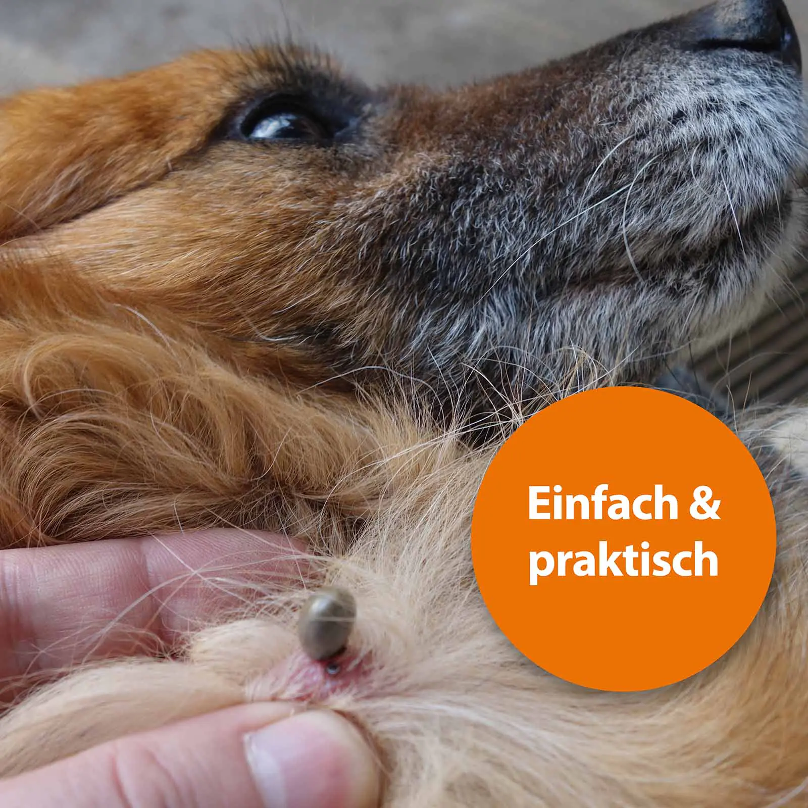 ARDAP Zeckenhaken für Tiere 3er Pack