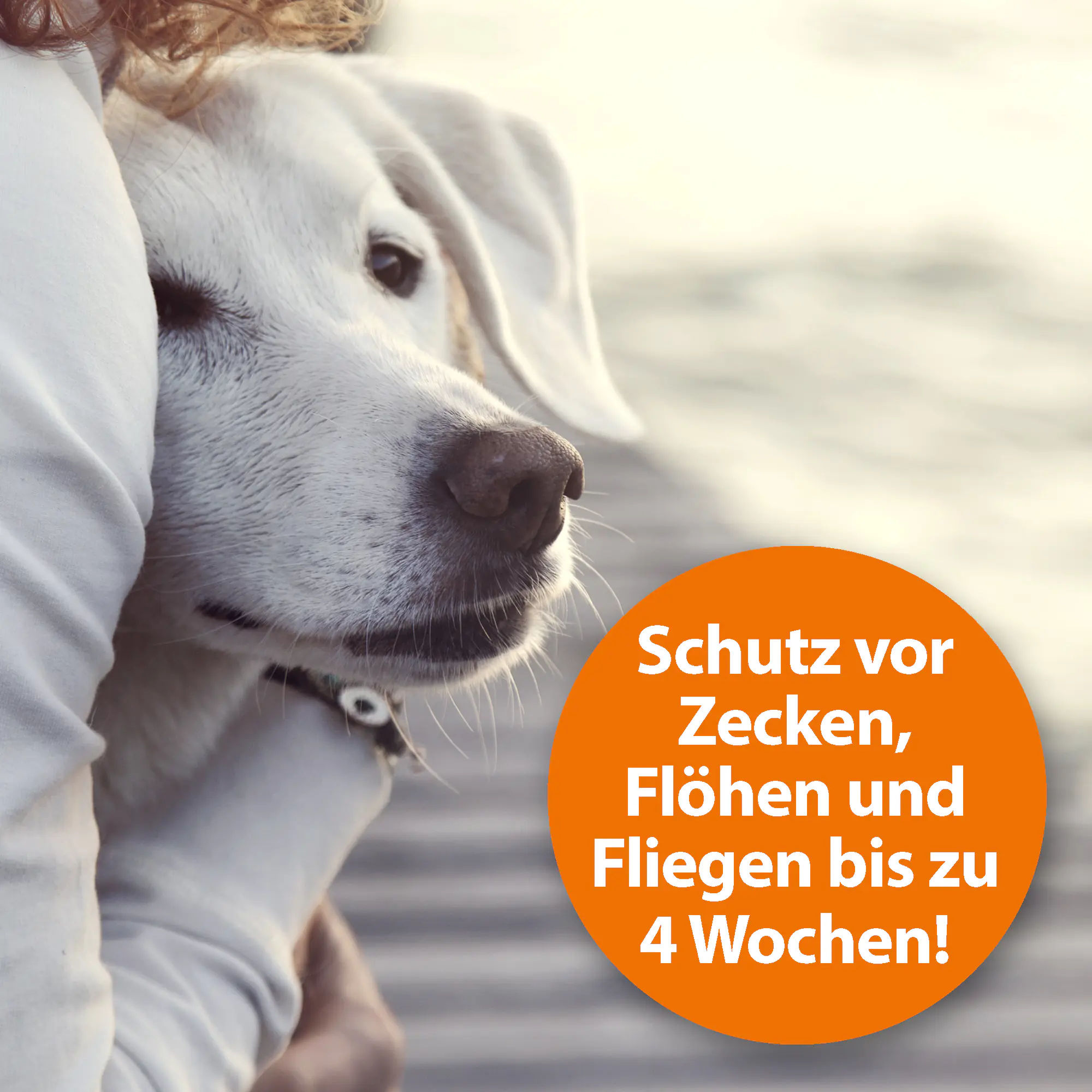 ARDAP Zeckenspray für Tiere 250 ml