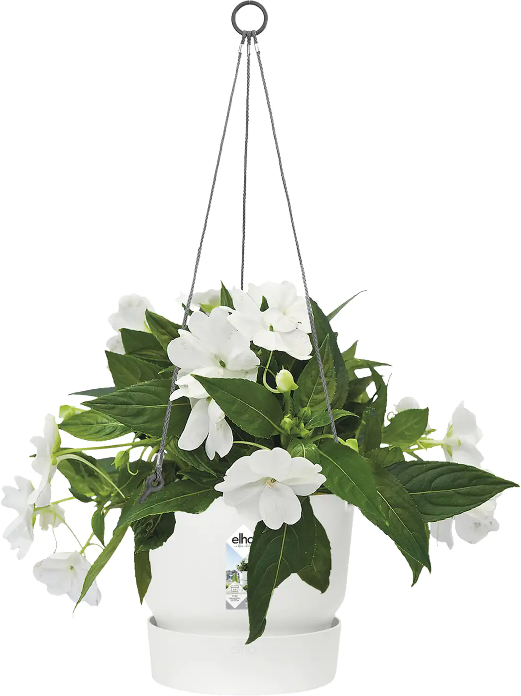 Elho Hängeampel Greenville weiß Ø 24 cm