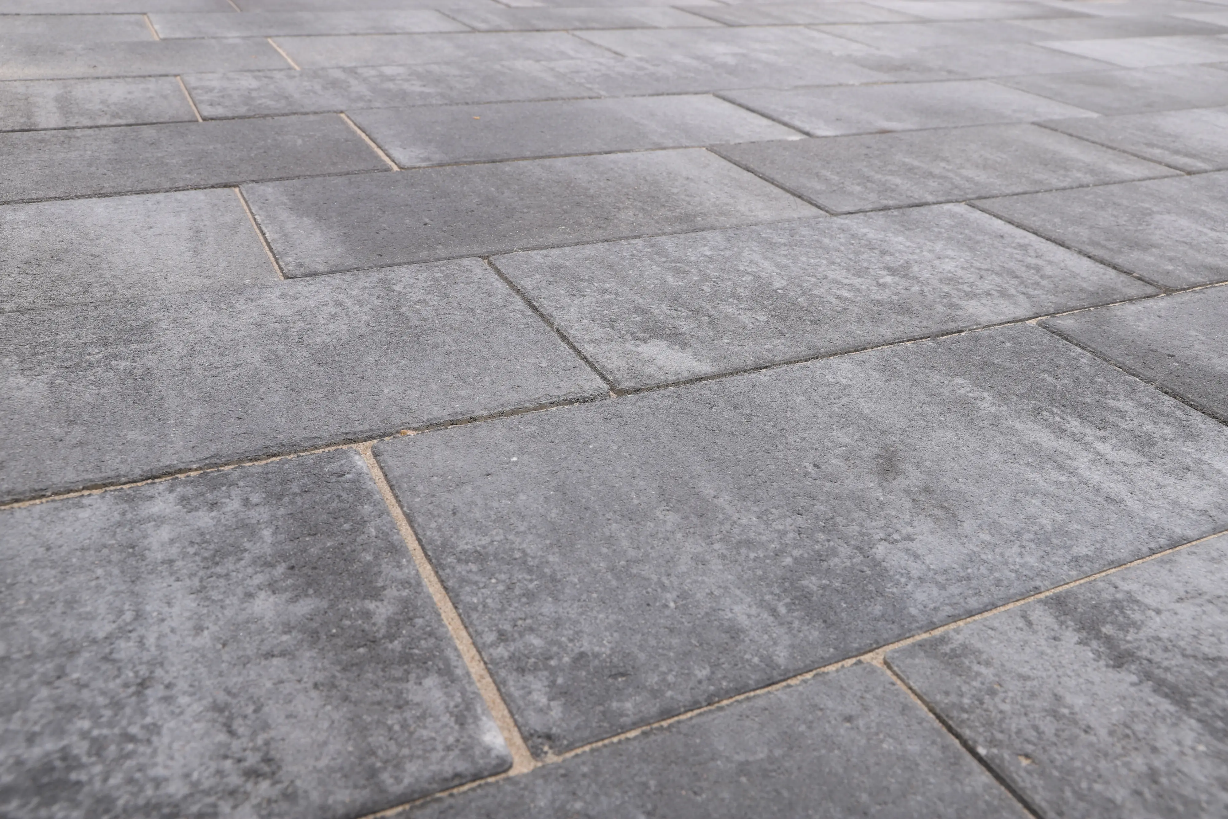 EHL Terrassenplatte Galano 60 x 30 x 4 cm grau anthrazit
