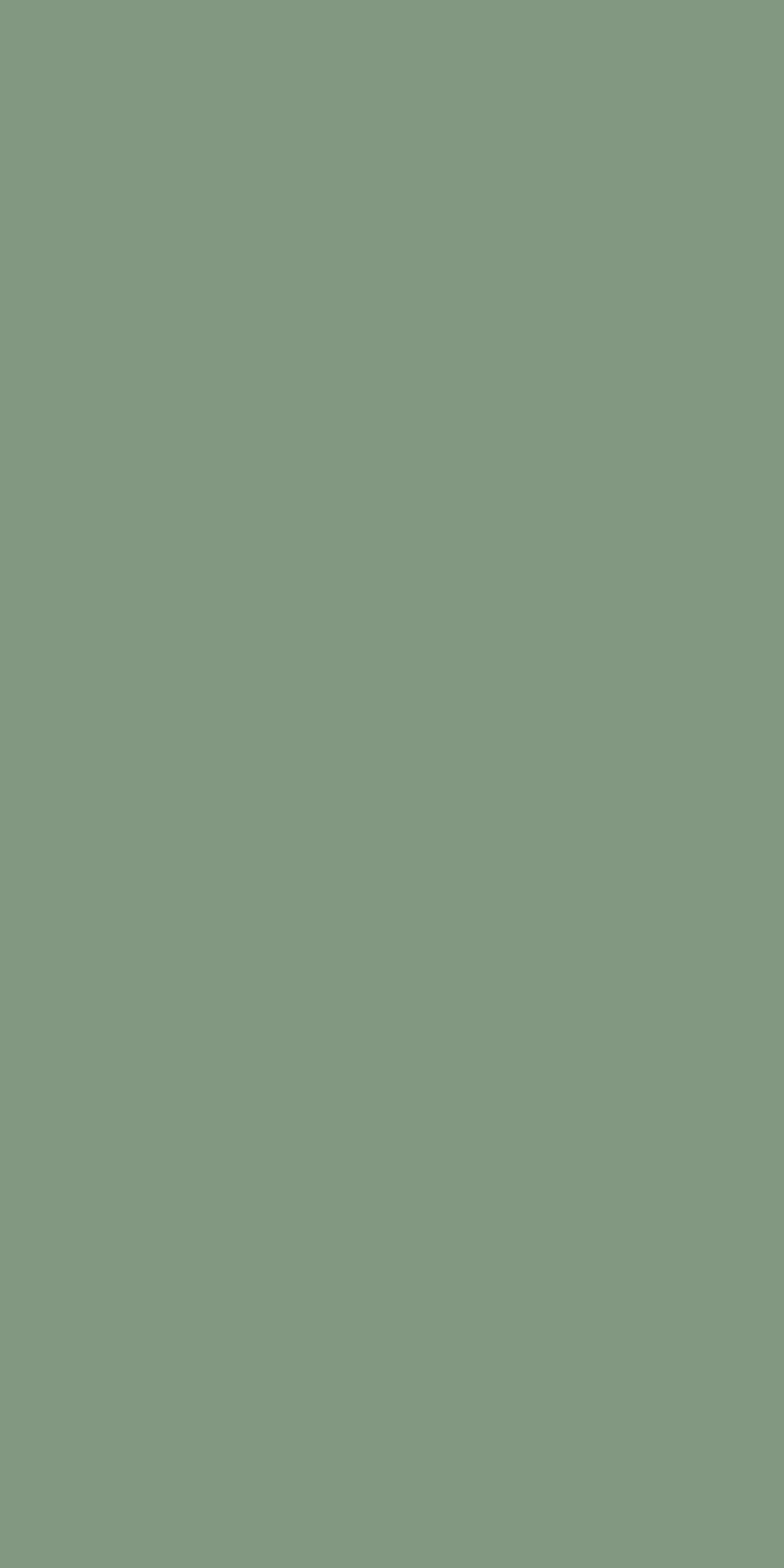 Wetwall Alloy Wandpaneel  Seafoam Green/Battleship Grey 60 x 244 cm