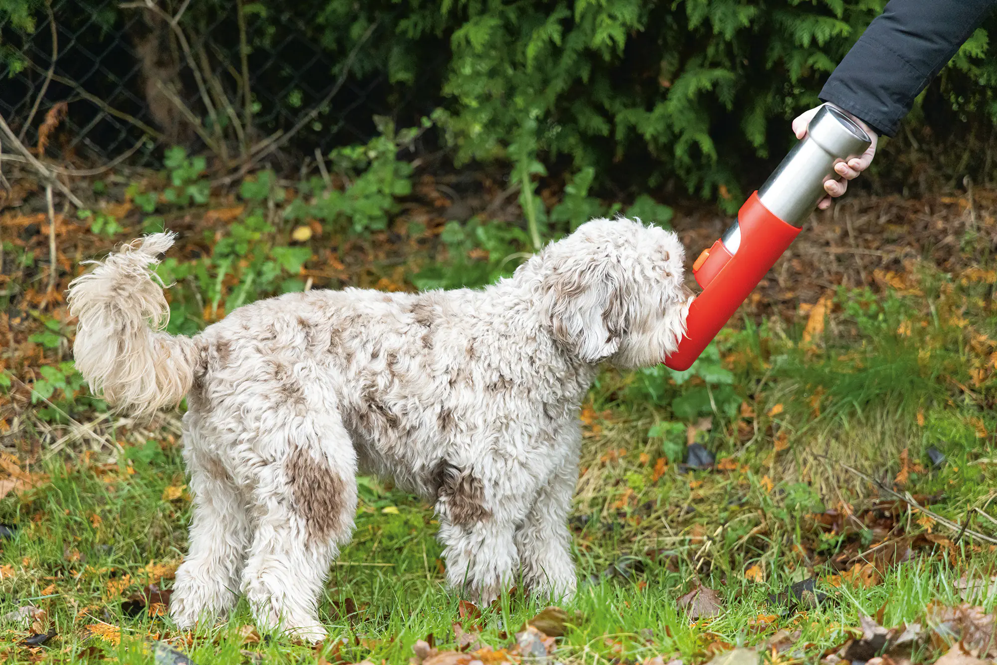 Beeztees Hundetrinkflasche Loe Edelstahl 532 ml