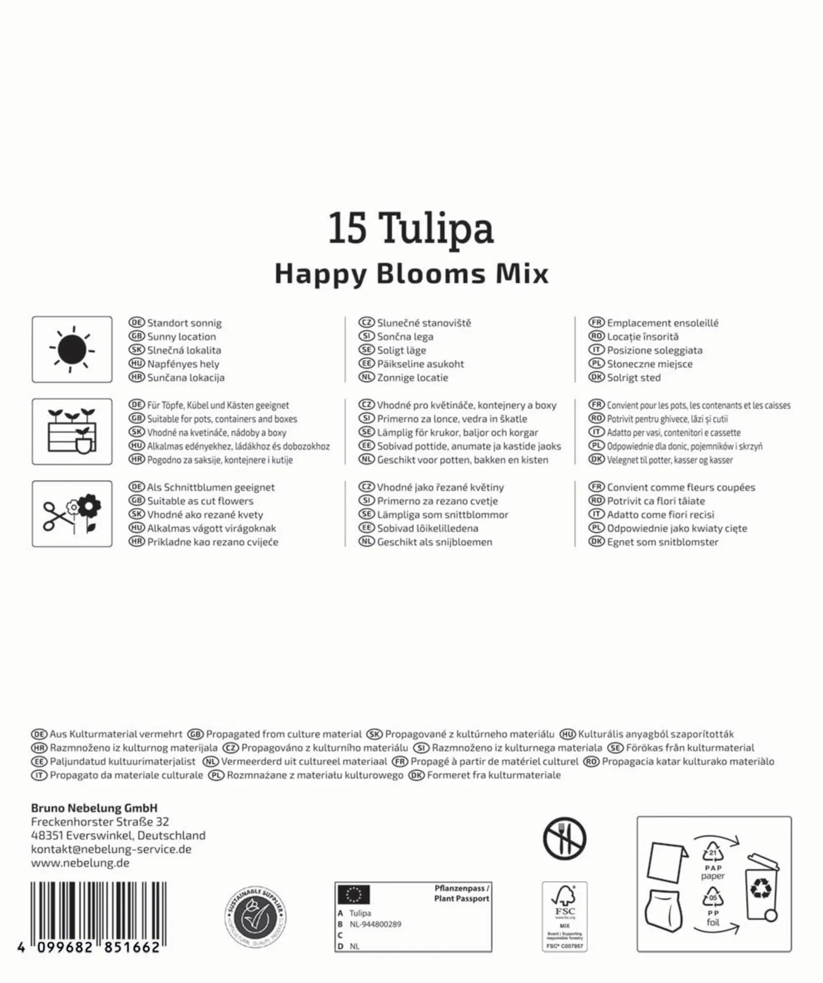 Kiepenkerl Herbstblumenzwiebelmischung Mega-Pack Tulpen Happy Bloom Mix 15 Stück