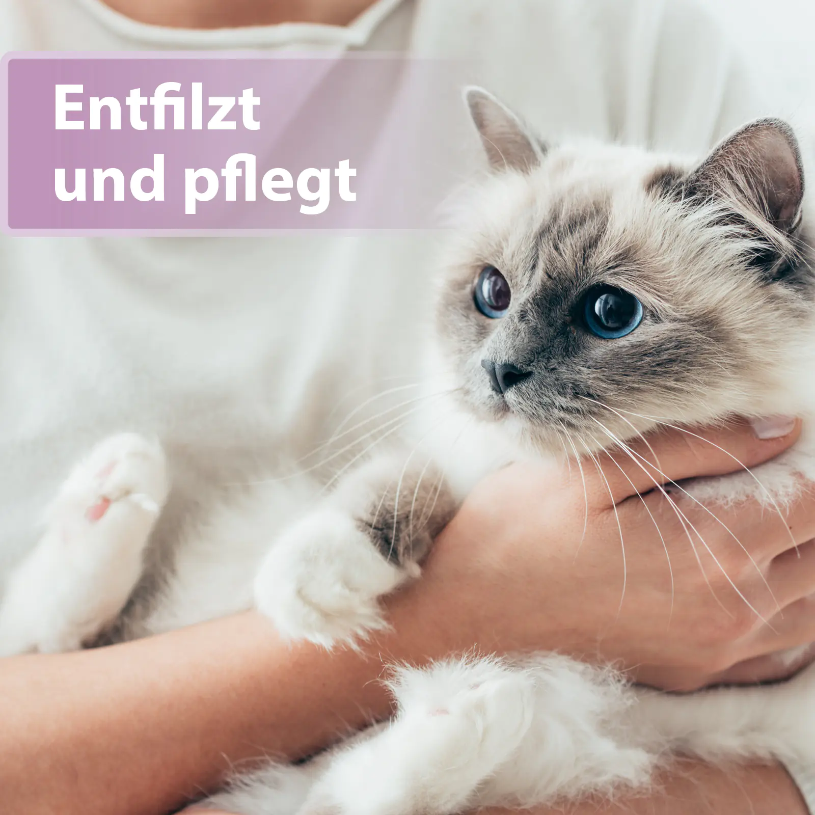 Felisept Fellpflegespray für Katzen 250 ml