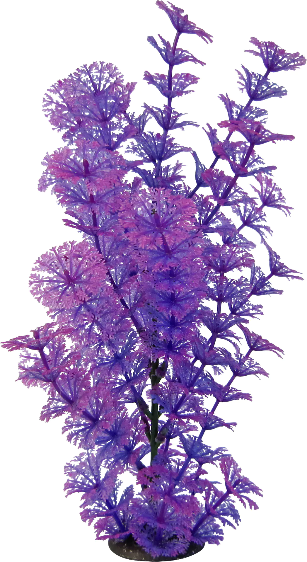 Orbit Aquapflanze Deluxe large Nr. 13 25 - 32 cm