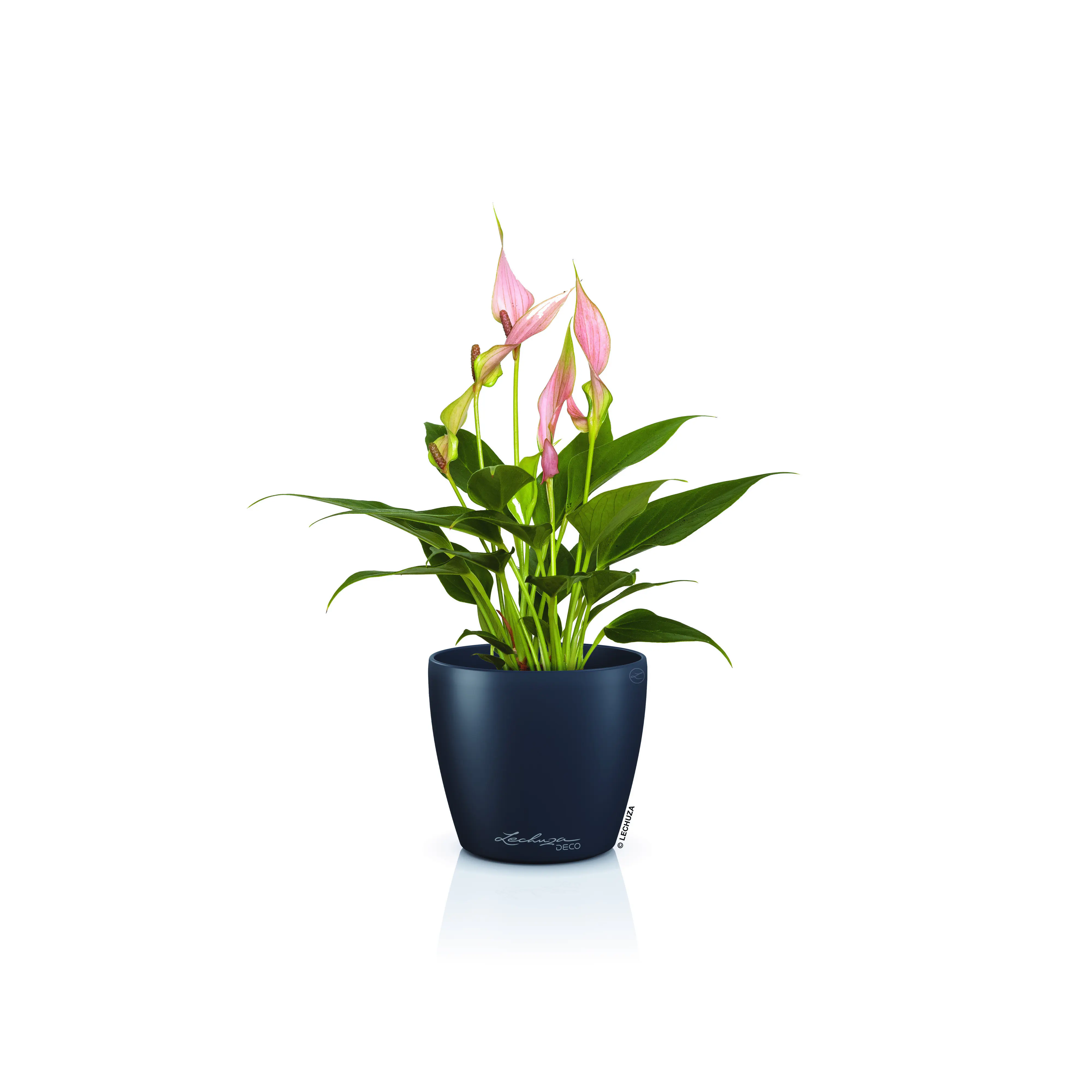 Lechuza Pflanztopf Deco 18 Ø 19 x 17 cm schiefergrau