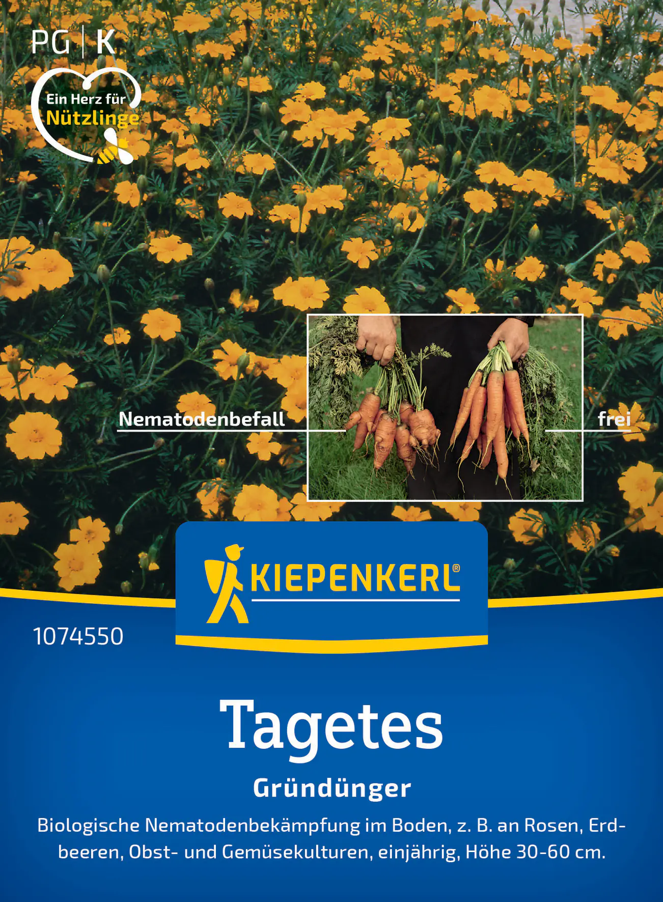 Kiepenkerl Saatgut Nematodenkiller-Tagetes Single Gold für ca. 5-7 m²