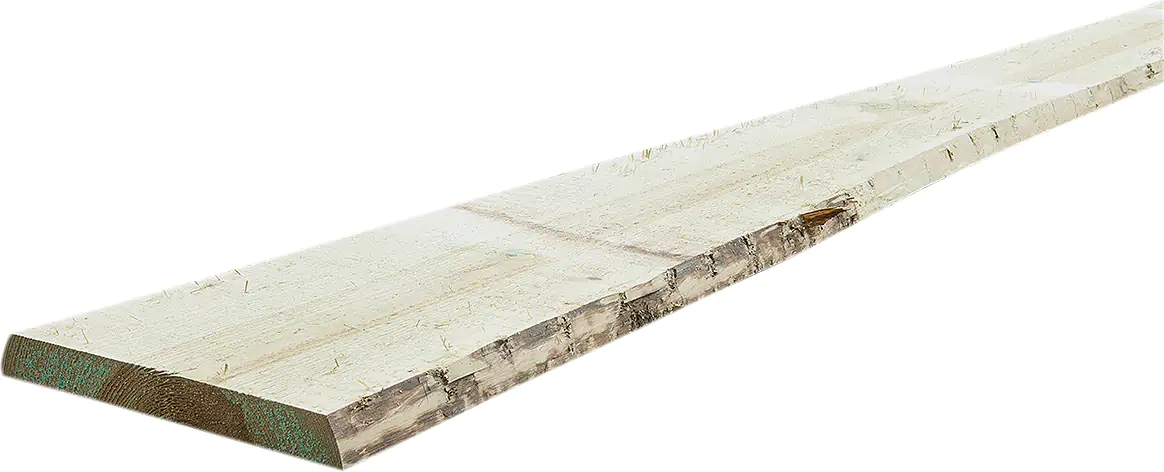 Rangerzaun 250 x 15-25 x 2,4 cm, kesseldruckimprägniert