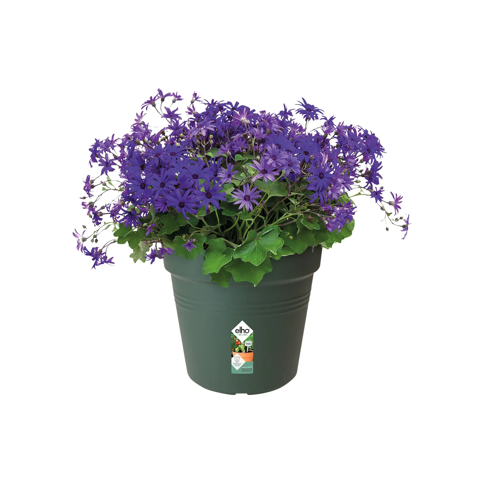 Elho Anzuchtstopf Green Basics Ø 24 cm grün