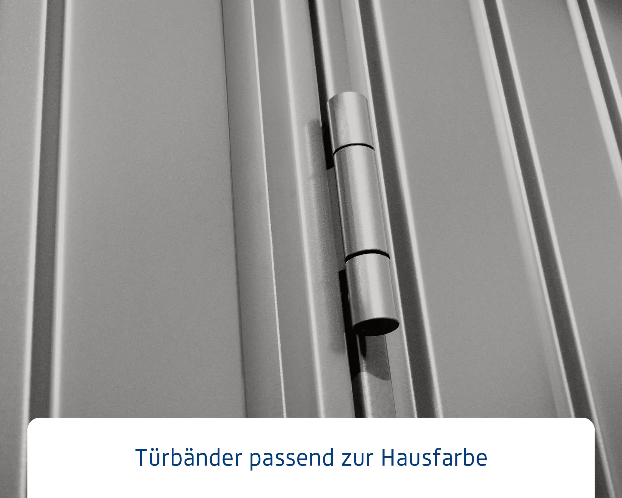 EcoStar Gerätehaus Trend-S Typ 3 323,6 x 247,7 x 219,4 cm graualuminium