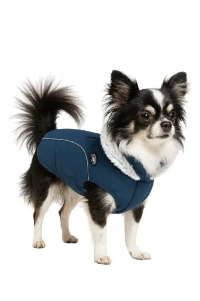 Nobby Hundemantel Alva blau