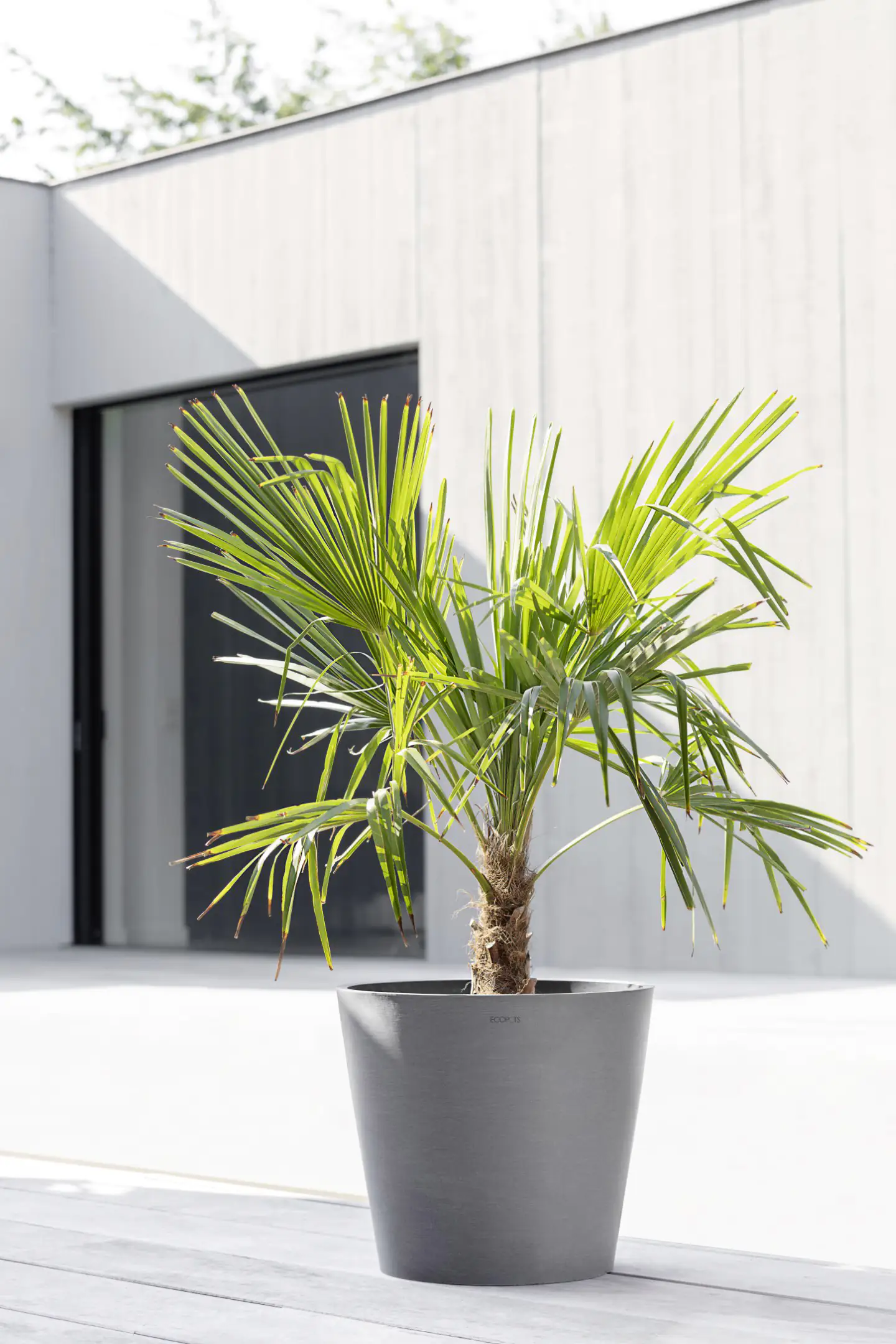 Ecopots Pflanztopf Amsterdam Ø 40 x 35 cm grau