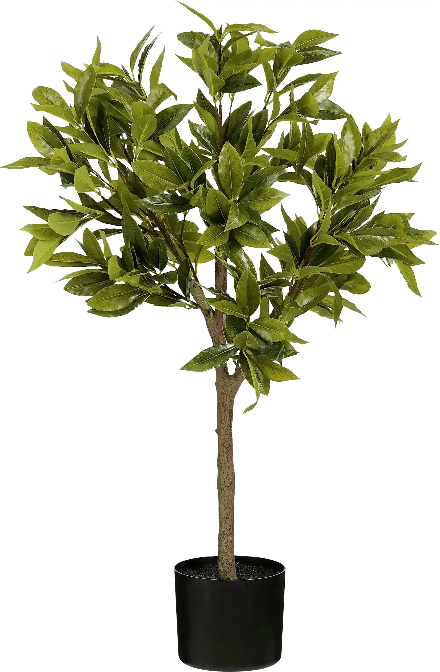 Mica Kunstpflanze Laurel Baum grün 90 cm