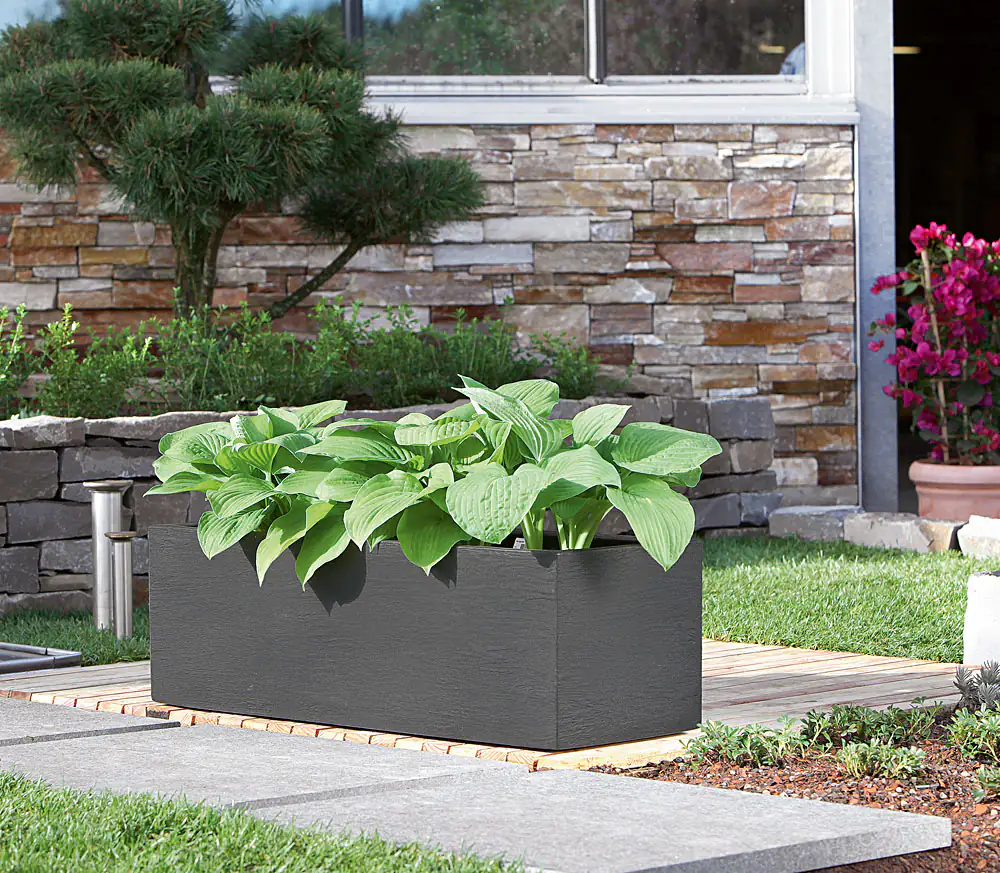 Geli Pflanztopf Kubus 80 x 30 x 27 cm anthrazit