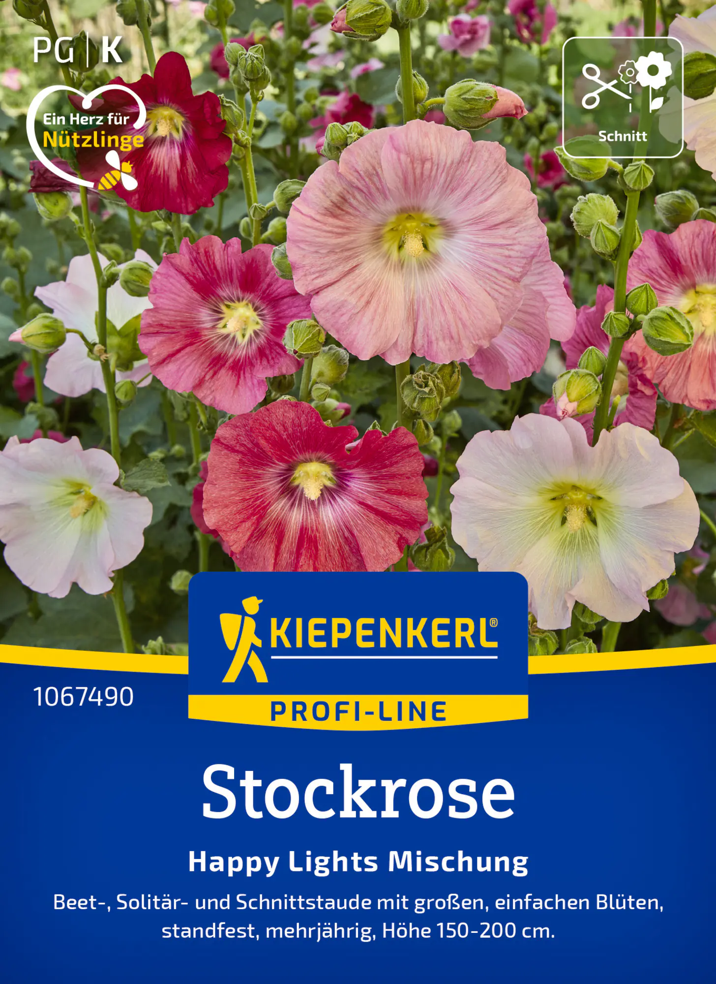 Kiepenkerl Profi-Line Saatgut Stockrosen Happy Lights Mischung für ca. 20 Pflanzen