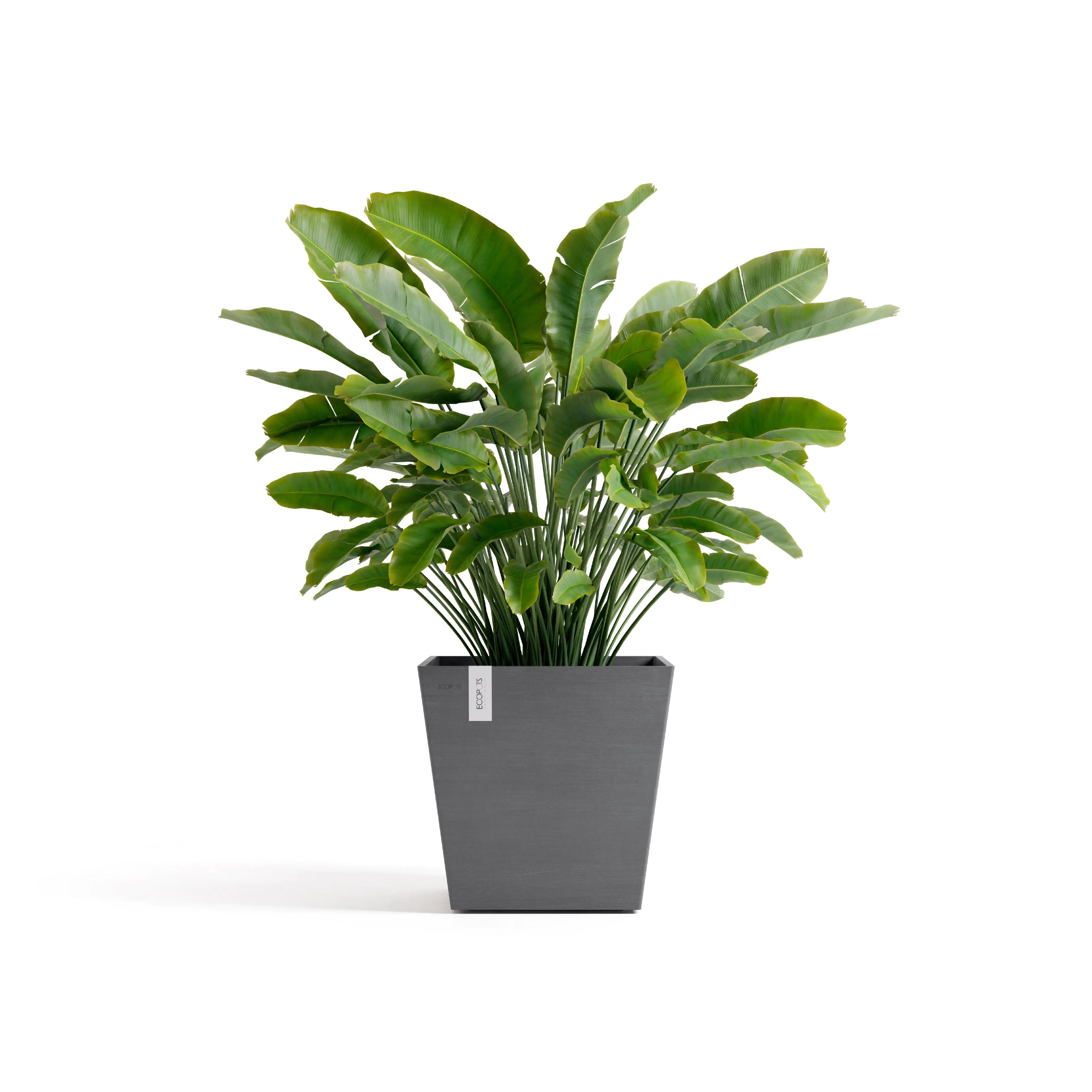 Ecopots Pflanztopf Rotterdam 45 x 45 x 44 cm grau