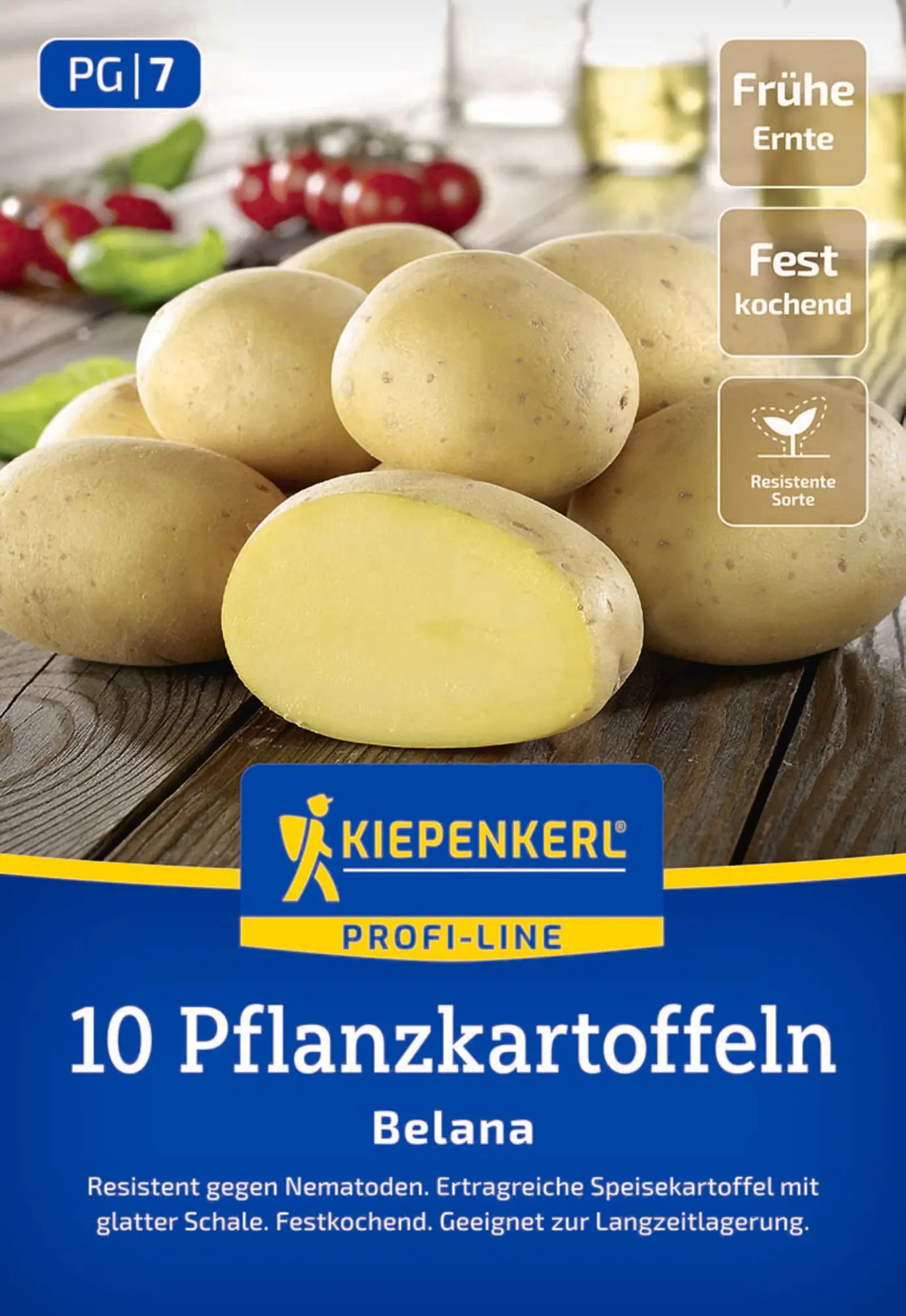 Kiepenkerl Pflanzkartoffel Belana 10 Stück