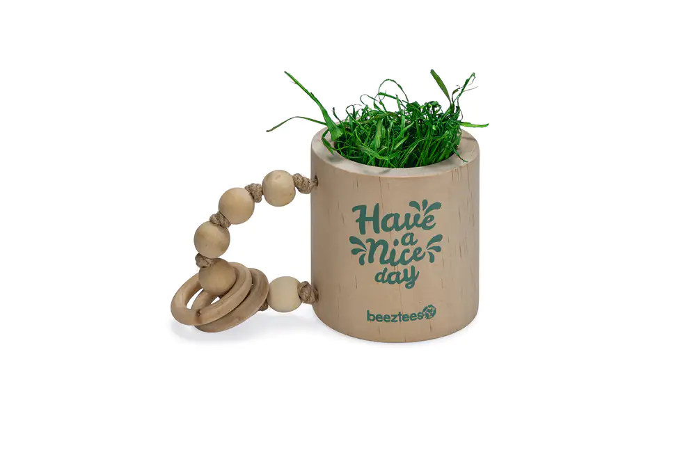 Beeztees Nager Spielzeug Have A Nice Day 
