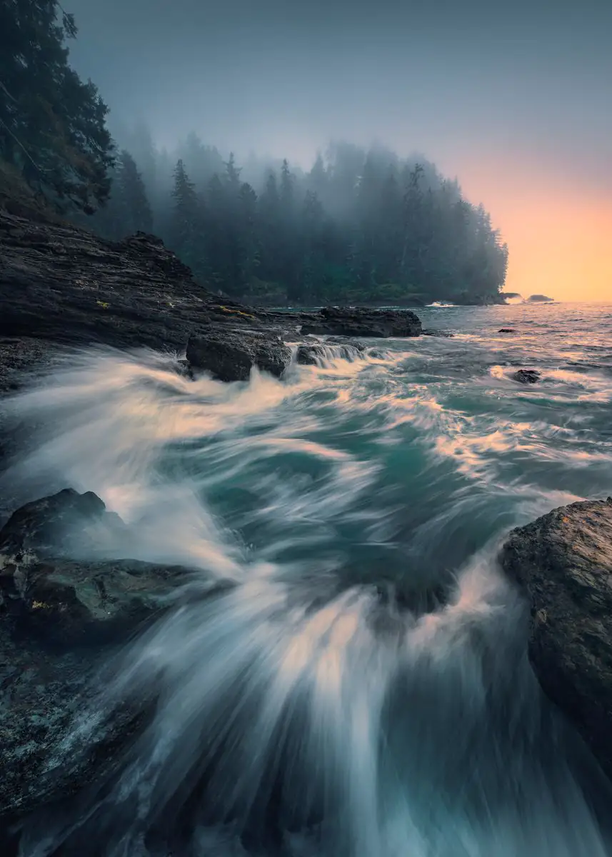 Komar Vlies Fototapete Cry of the Sea 200 x 280 cm 