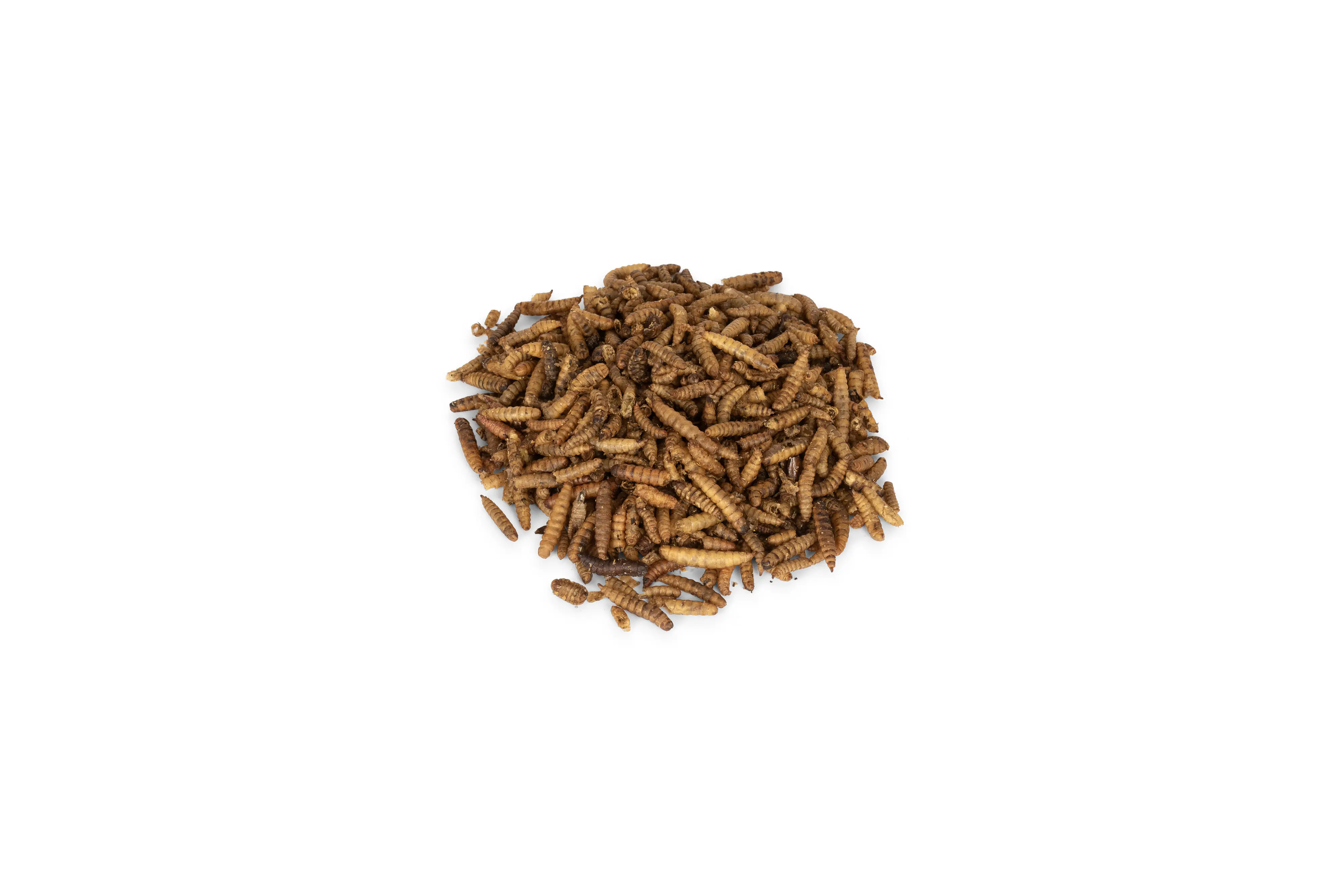 Wildvogelfutter Kalziumwürmer Soldatenfliege 1 kg Beutel