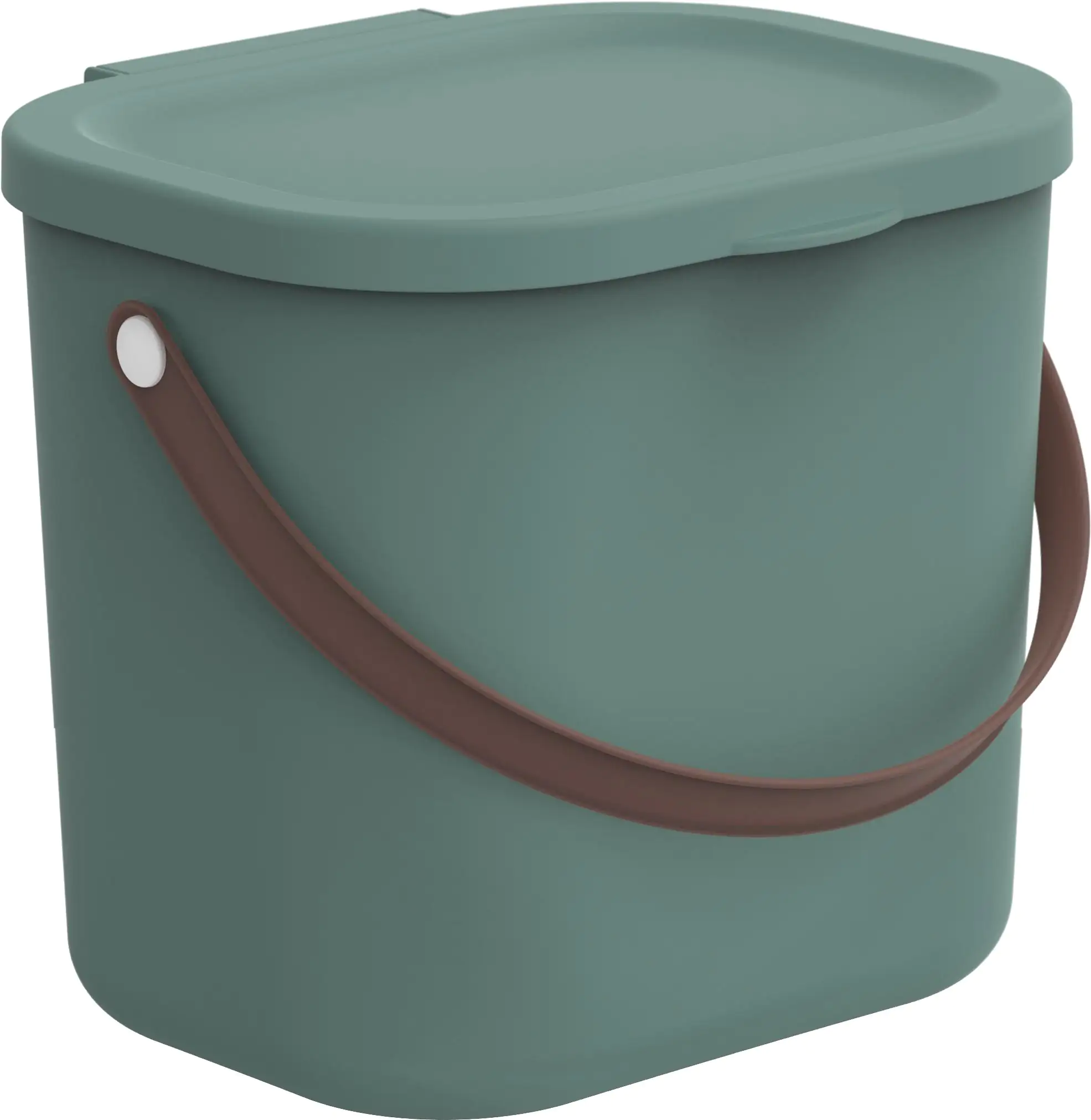 Rotho Aufbewahrungsbox Albula mit Deckel 23,5 x 20 cm 6 L mistletoe grün