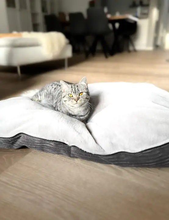 Lebon Katzenbett Bella Plüsch grau