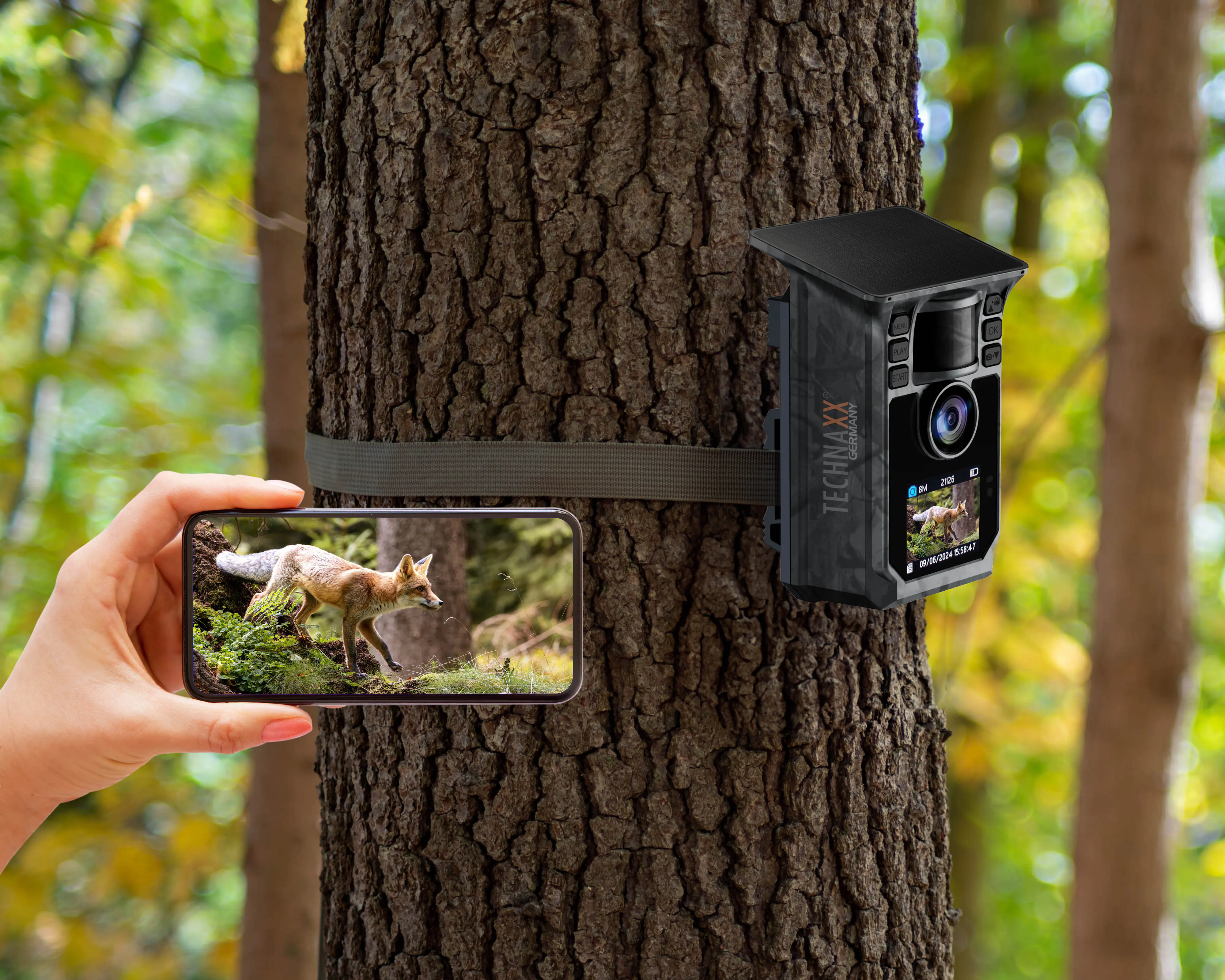 Technaxx Solar Wildtierkamera TX-326 Full HD inklusive Solarpanel