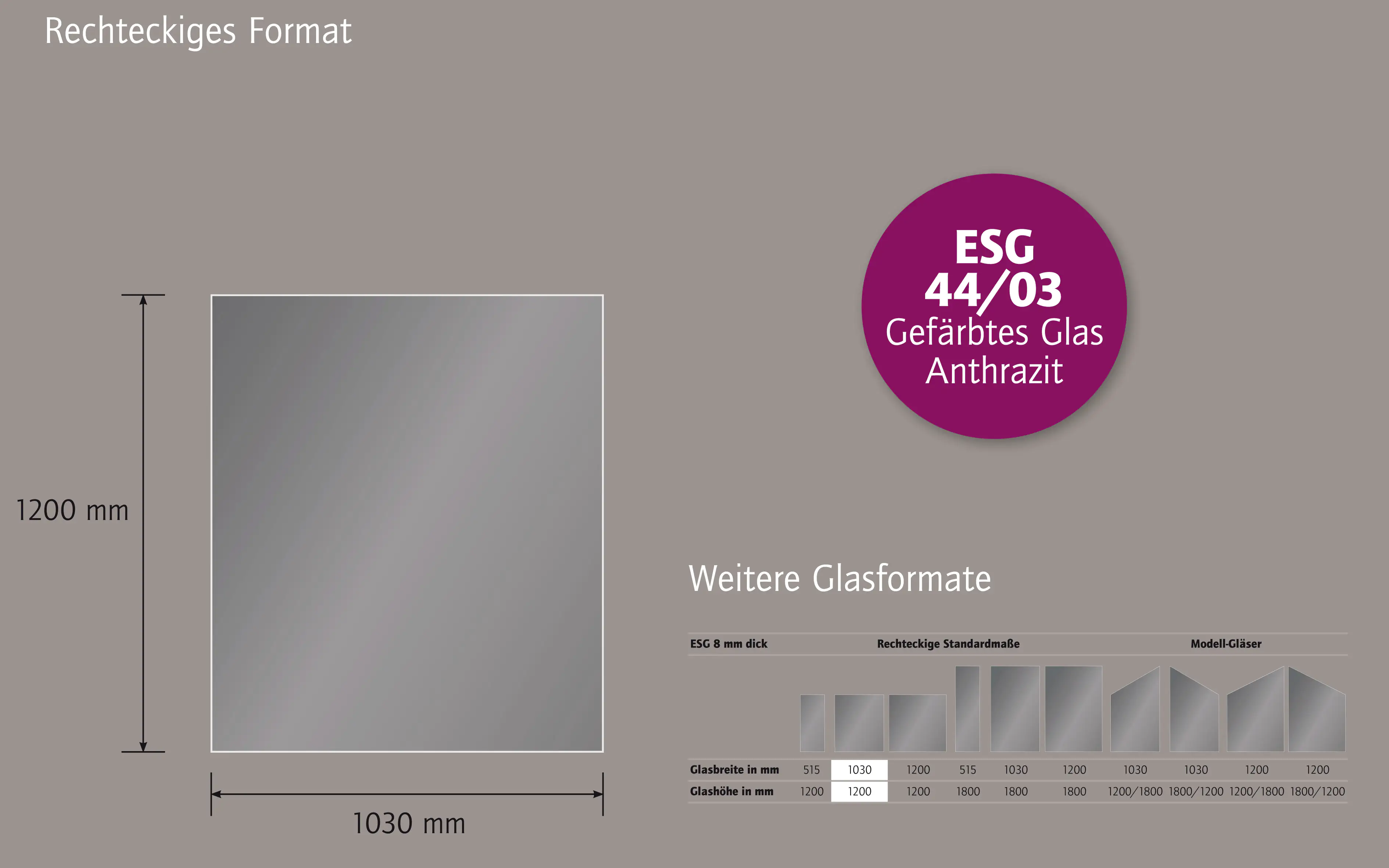 Ambiente Glaszaun Dekor 44/03 103 x 120 cm gehärtetes 8 mm Glas