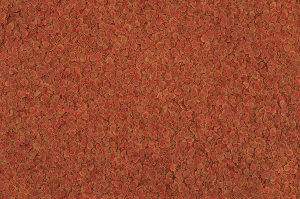 TetraPro Zierfischfutter Colour 500 ml
