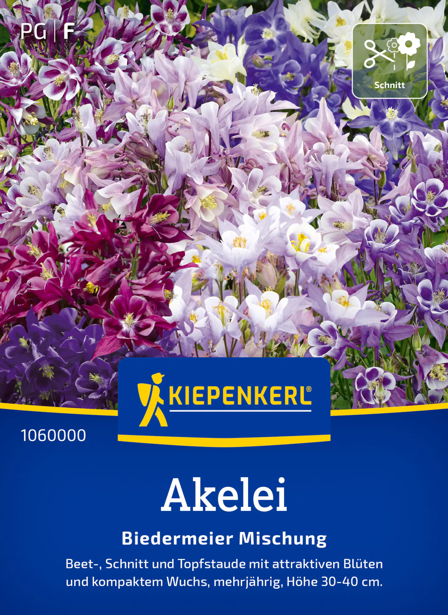 Kiepenkerl Blumensamen Alkelei Biedermeier Mischung für ca. 50 Pflanzen